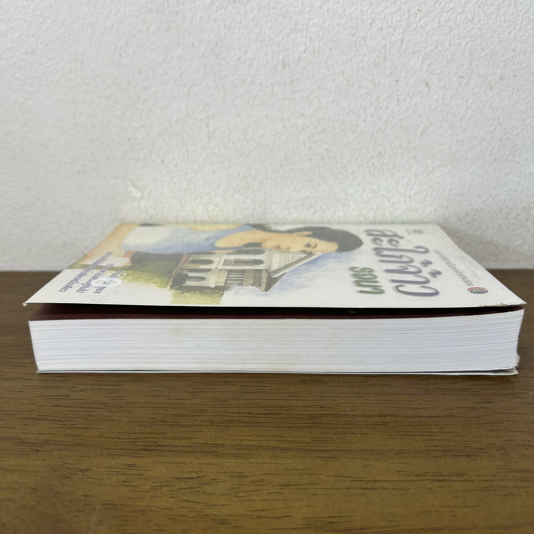 สะใภ้จ้าว ... รจนา (มือสอง) นิยาย นิยายรัก โรแมนติก