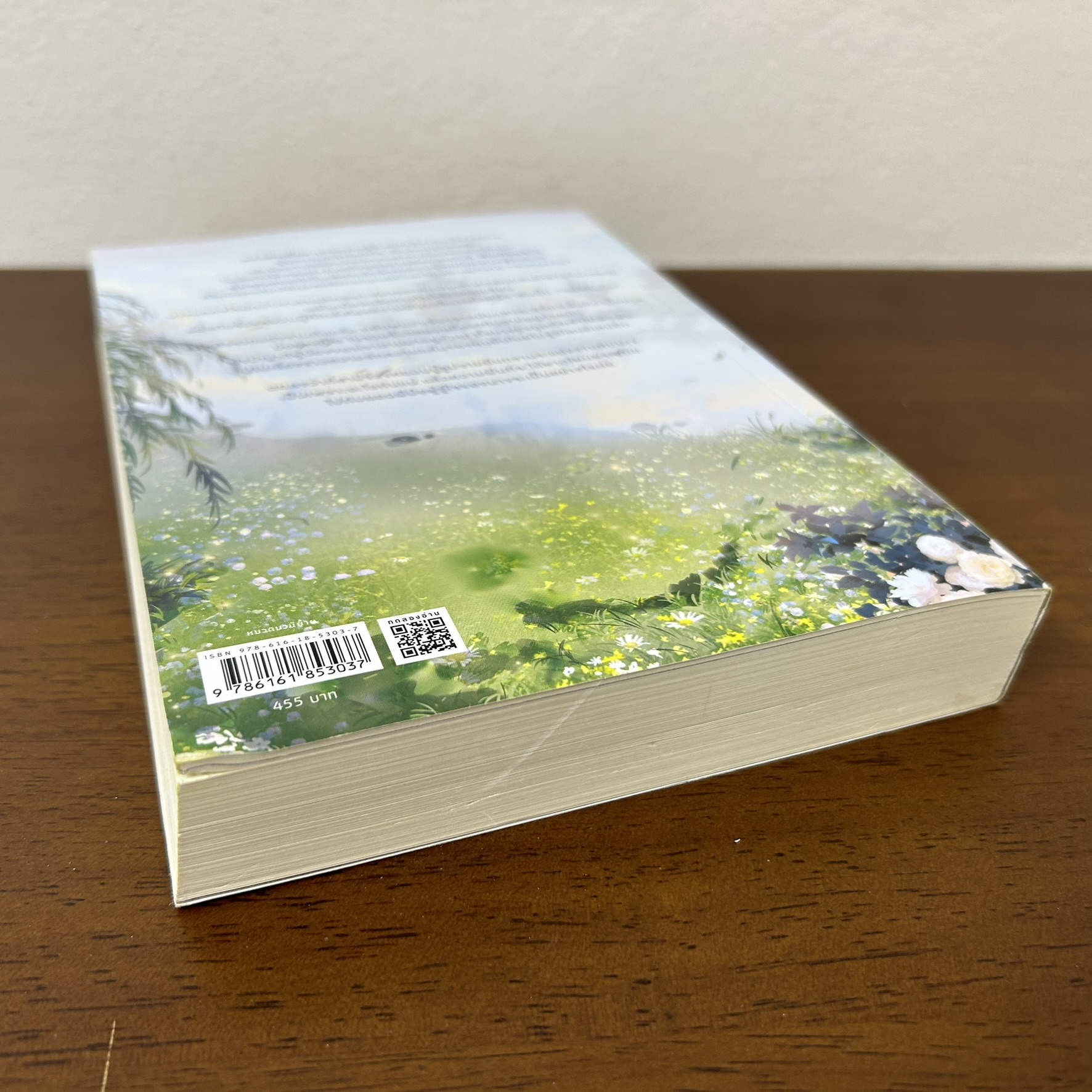 ข้าอยากเป็นภรรยาจอมยุทธ์ ... จ้าวเฉียนเฉียน จ้าวกานกาน (มือสอง) นิยายรัก นิยาย แปลจีน โรแมนติก