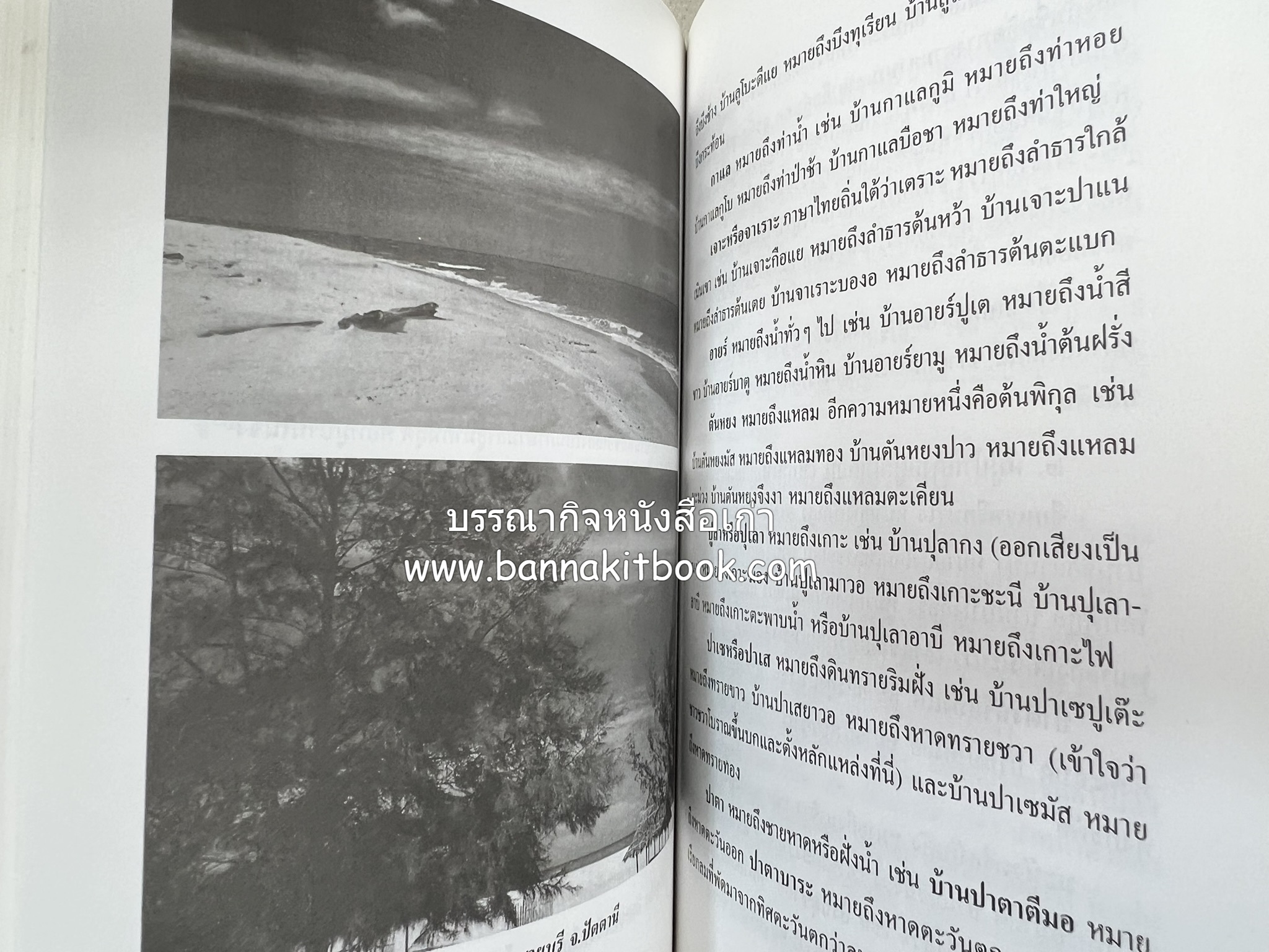 บุหงาปัตตานี : คติชนไทยมุสลิมชายแดนภาคใต้ โดย : ประพนธ์ เรืองณรงค์.