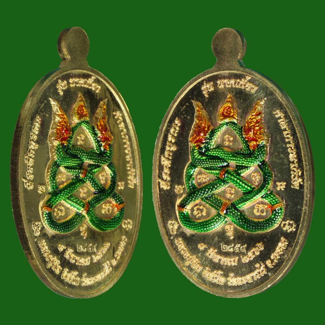 เหรียญเจริญพร นาคเกี้ยว หลวงปู่ทิม วัดระหารไร่ ปี66 เนื้อทองเหลือง ลงยา2สี ลงยาหลัง