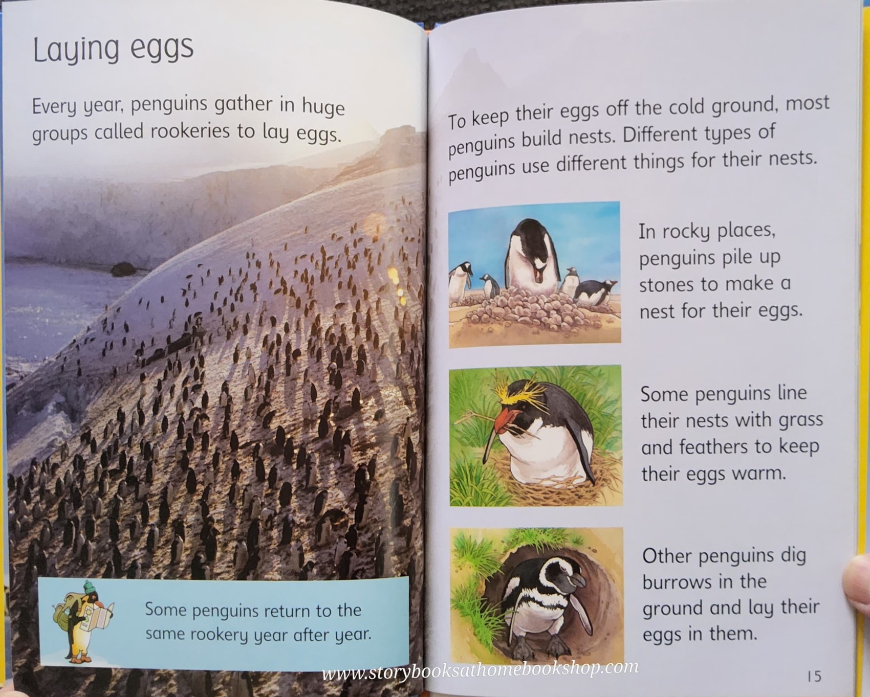 KNOWLEDGE BOOK** ♥️♥️USBORNE PENGUINS