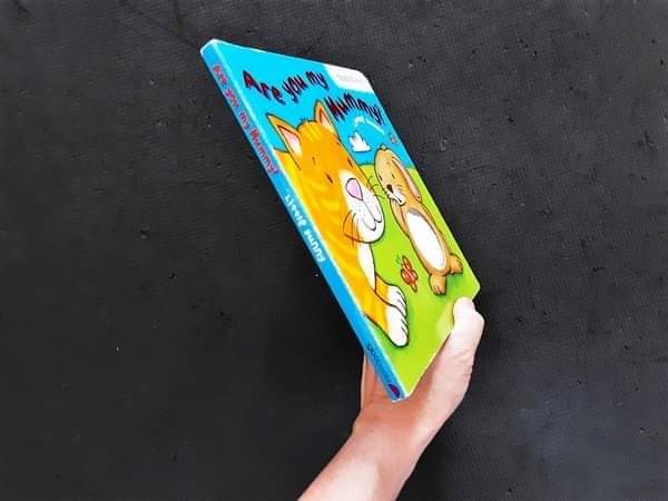 Board Book ** 🍅🍓Are you my Mummy? LITTLE BUNNY