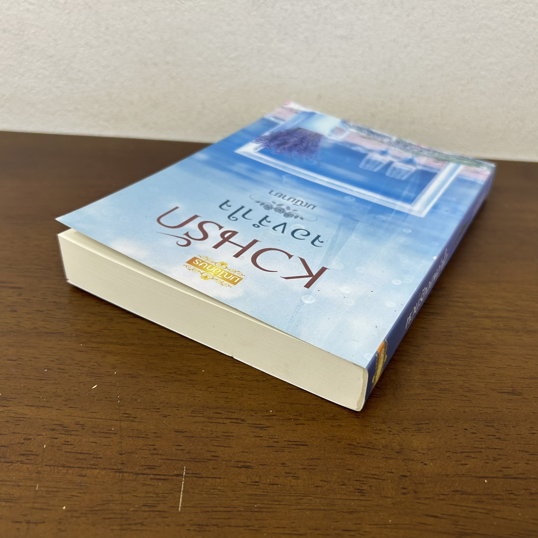 หวนรักจองจำใจ ... มณีมายา (มือสอง) นิยาย โรมานซ์