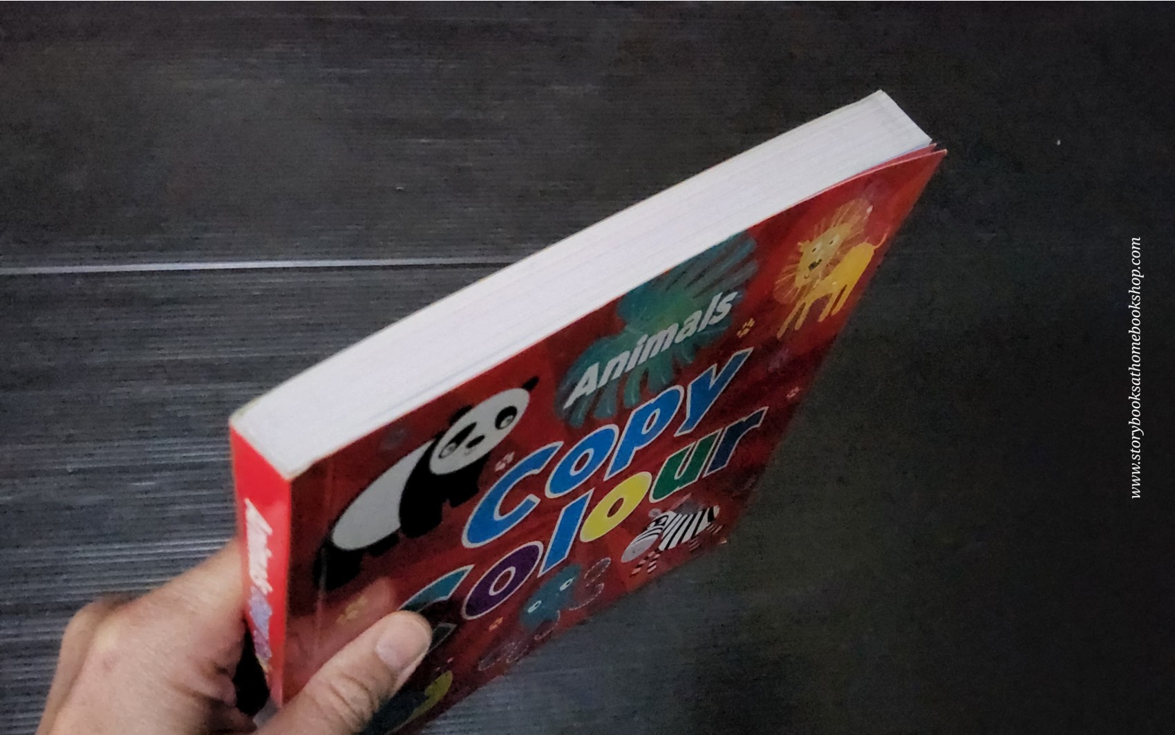 หนังสือวาดรูป Copy Colour