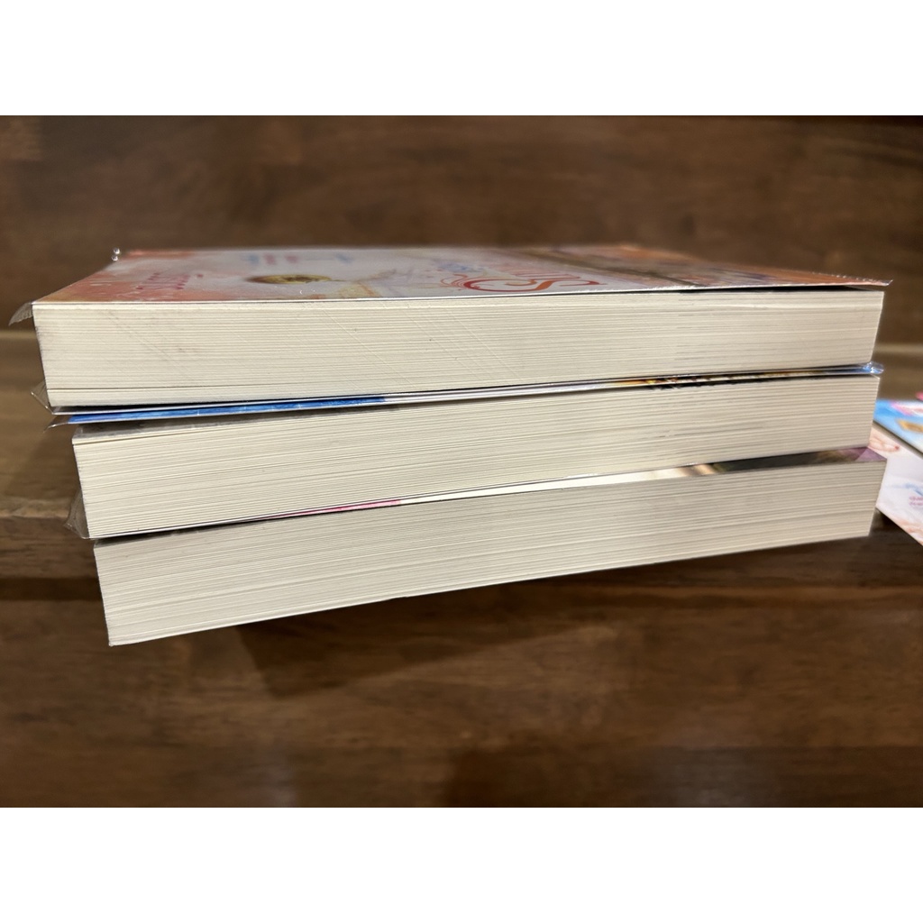 ชุด เจ้าสาวของจอมมาร - จอมมารเร้นรัก/พรางรักจอมมาร/พญามารซ่อนใจ ... ปริยากร (มือสอง)