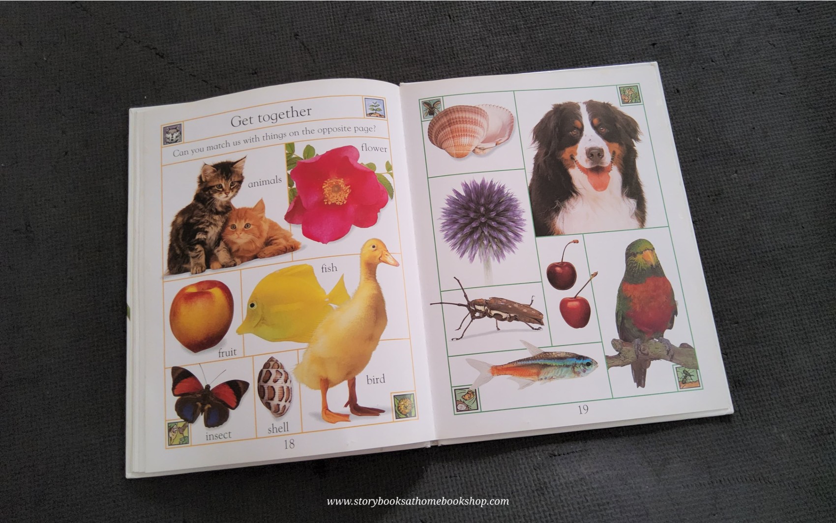 KNOWLEDGE BOOK** ♥️♥️BABY'S BOOK OF NATURE