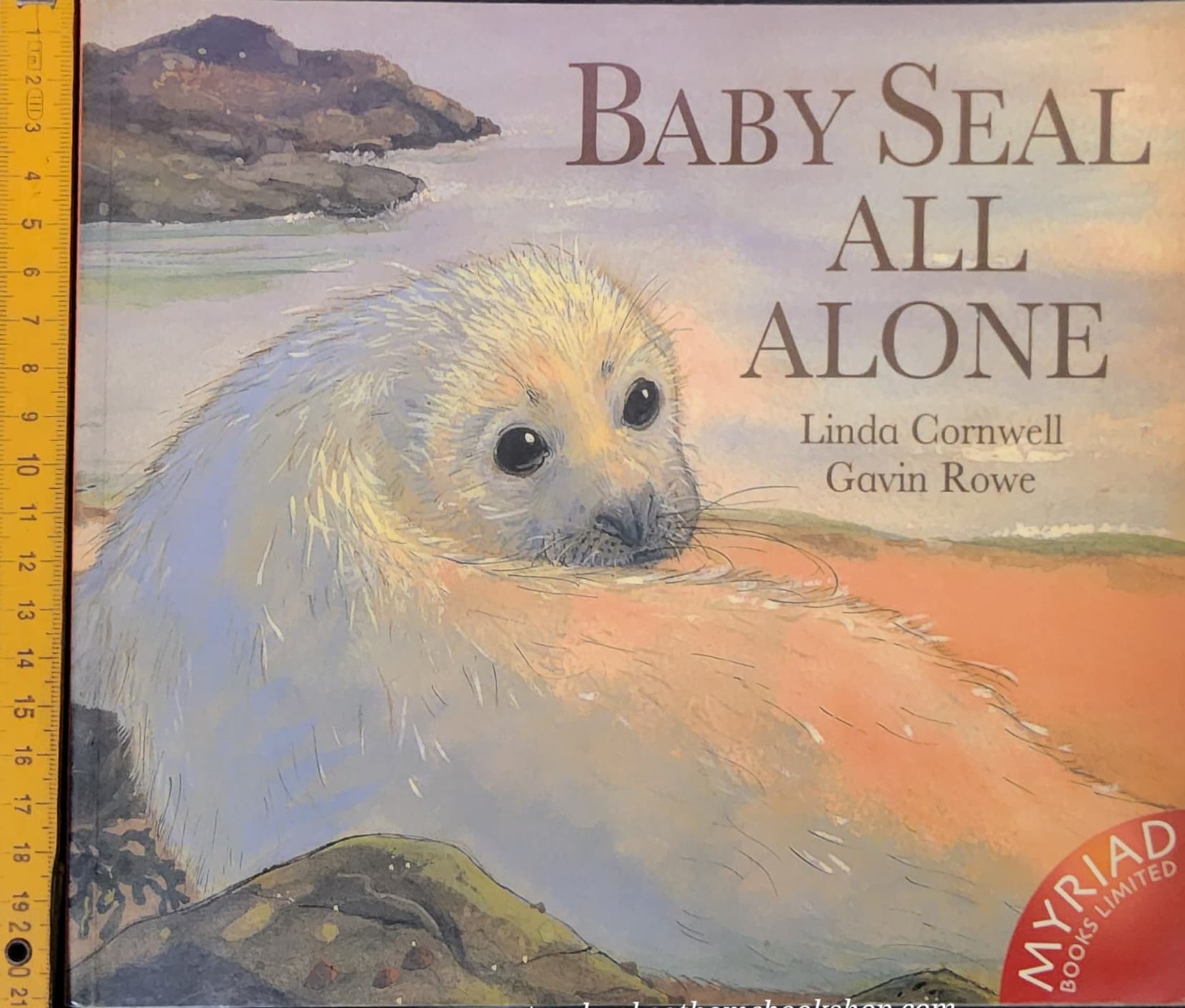หนังสือนิทานปกอ่อน** 🍅BABY SEAL ALL ALONE