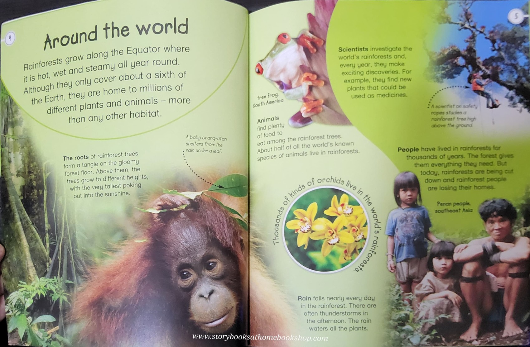 KNOWLEDGE BOOK** ð
ð
EXPLORERS RAINFORESTS