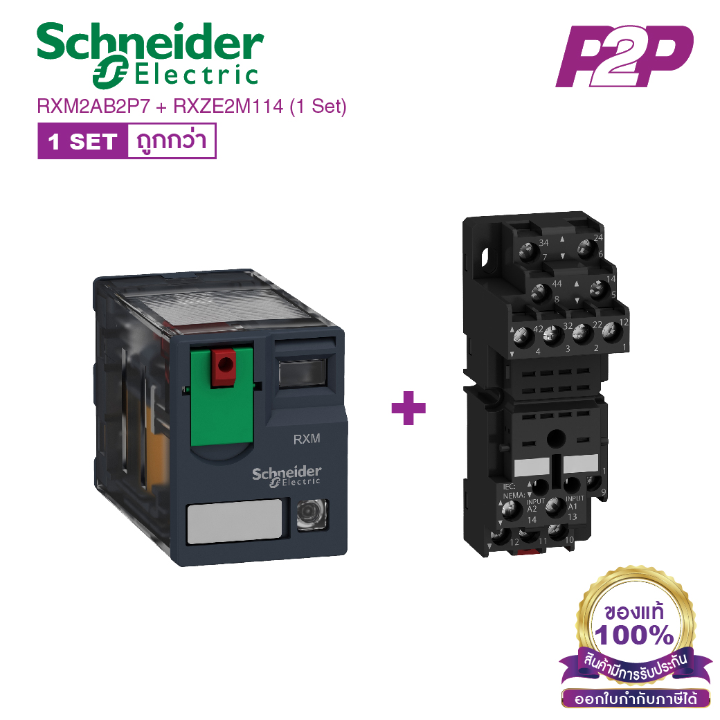 RXM2AB2P7 + RXZE2M114 (1 Set) : รีเลย์พร้อมฐานเสียบ 2 คอนแทค 12A 230VAC ไฟ LED แสดงสถานะ - Schneider Relay&Socket by pik2pak.com