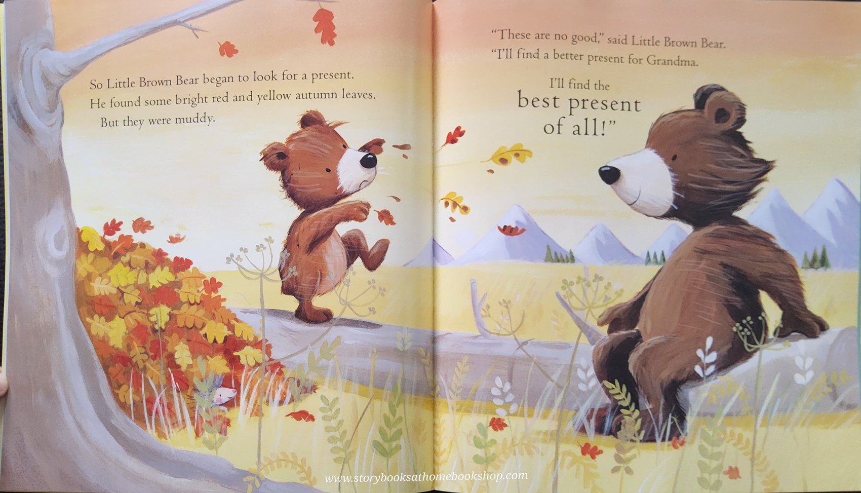 หนังสือนิทานปกอ่อน** 🍅🍅THE BEST PRESENT