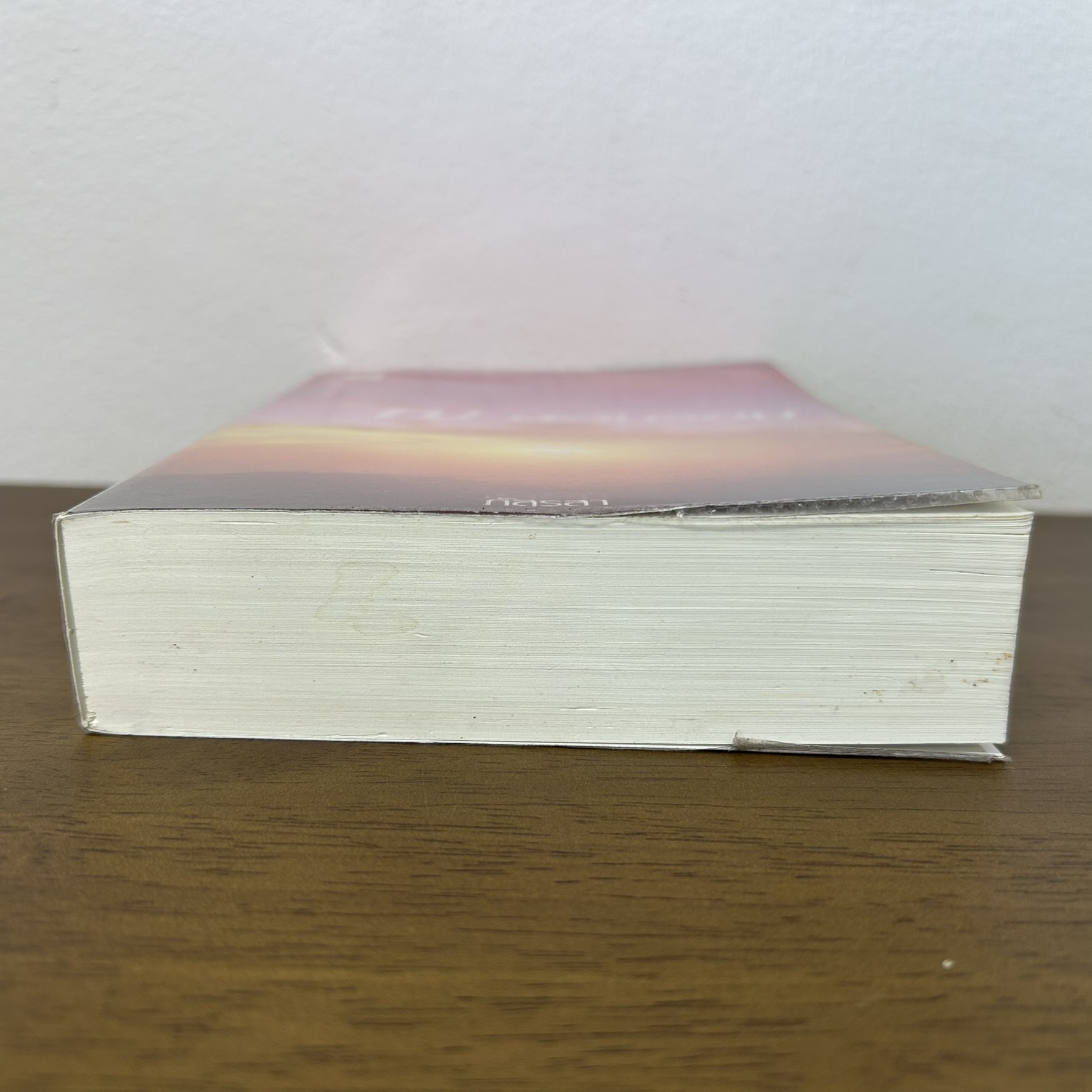 ณ ตะวันรอน ... ภัสรสา (มือสอง) นิยาย โรแมนติก แจ่มใส