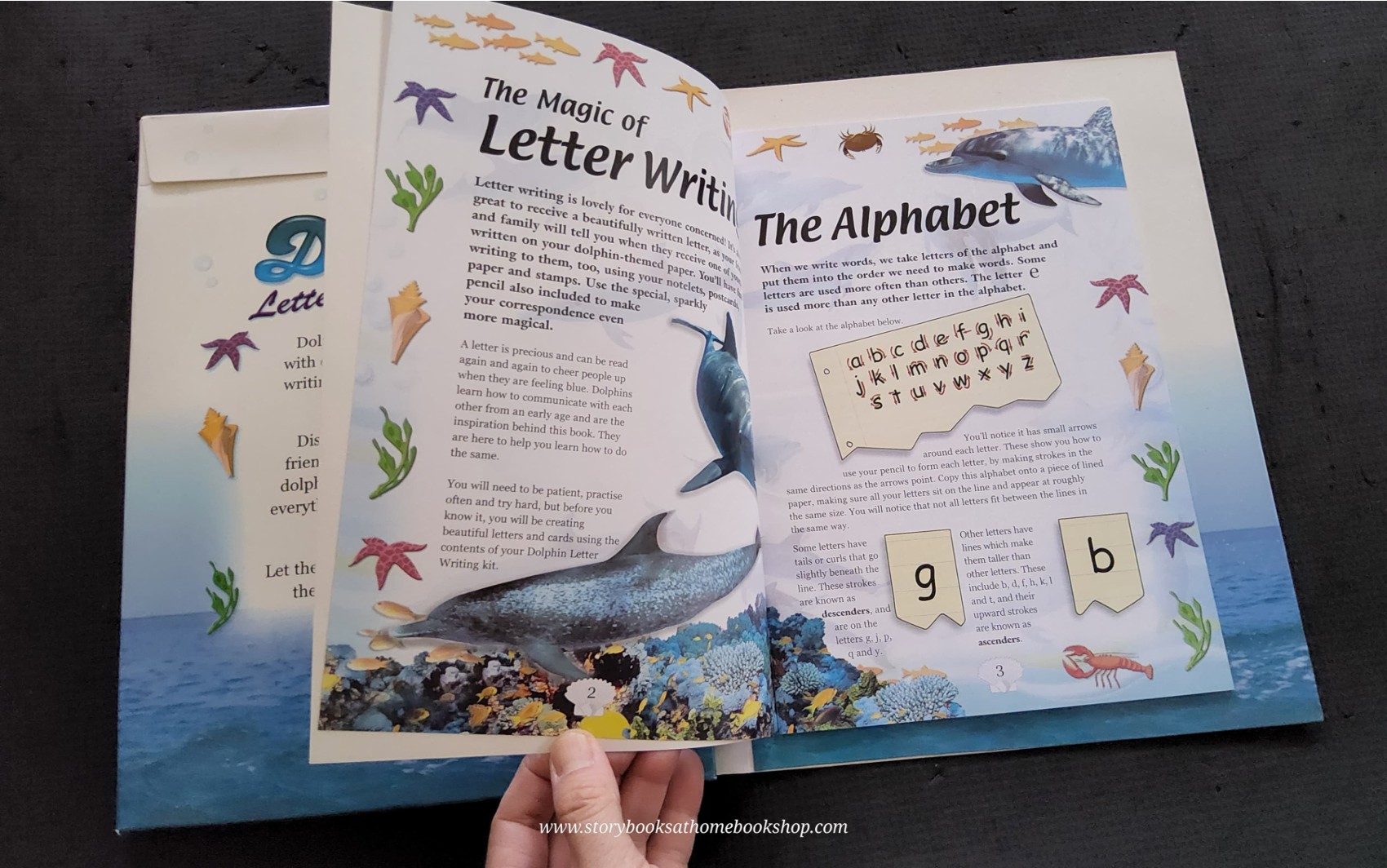 ACTIVITIES BOOK** ð
ðDOLPHIN LETTER WRITING KIT