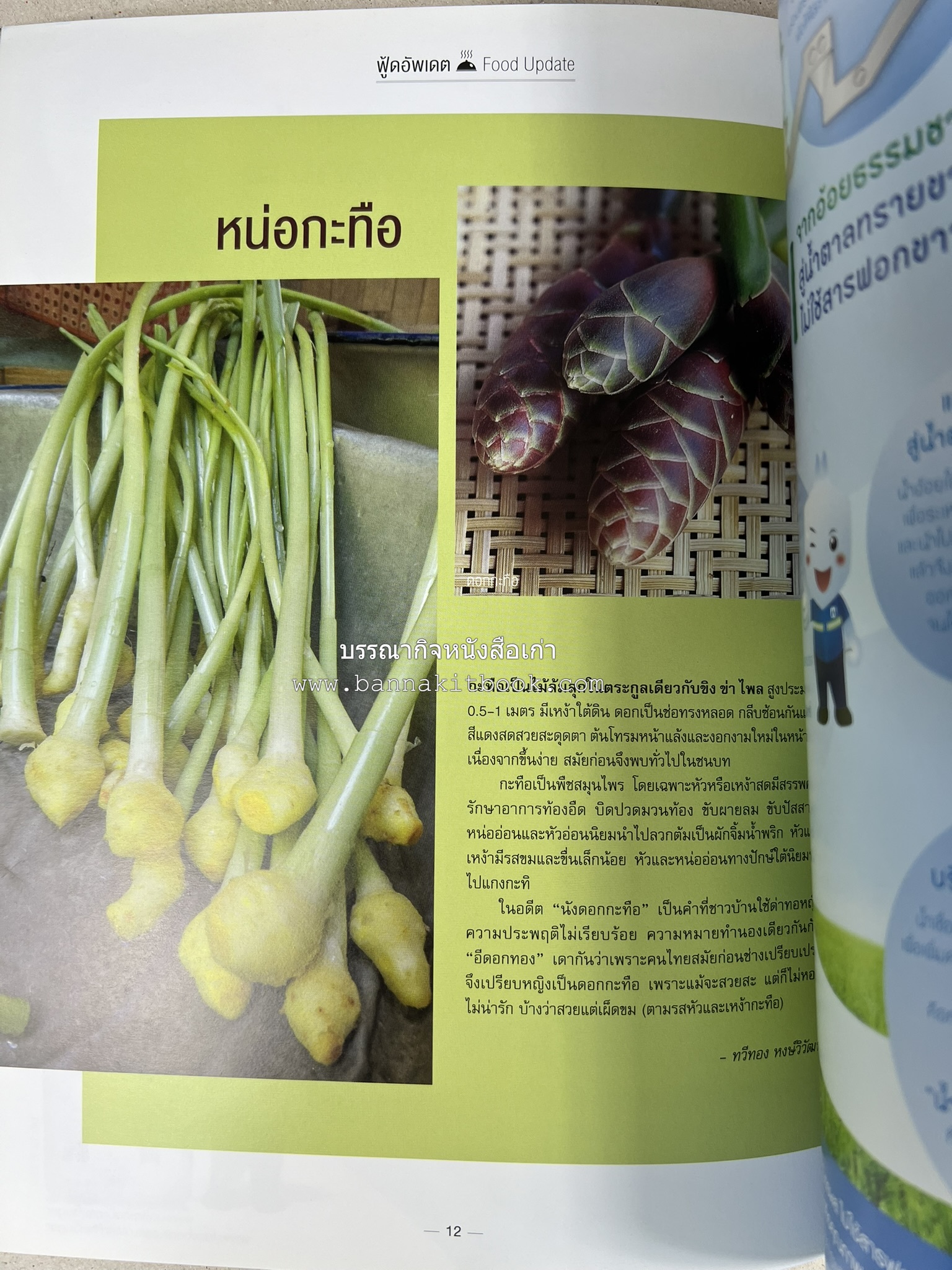 ตำรับอาหารเหนือ ถิ่นล้านนา ของกินบ้านเฮา นิตยสารครัว ฉบับมกราคม 2558.