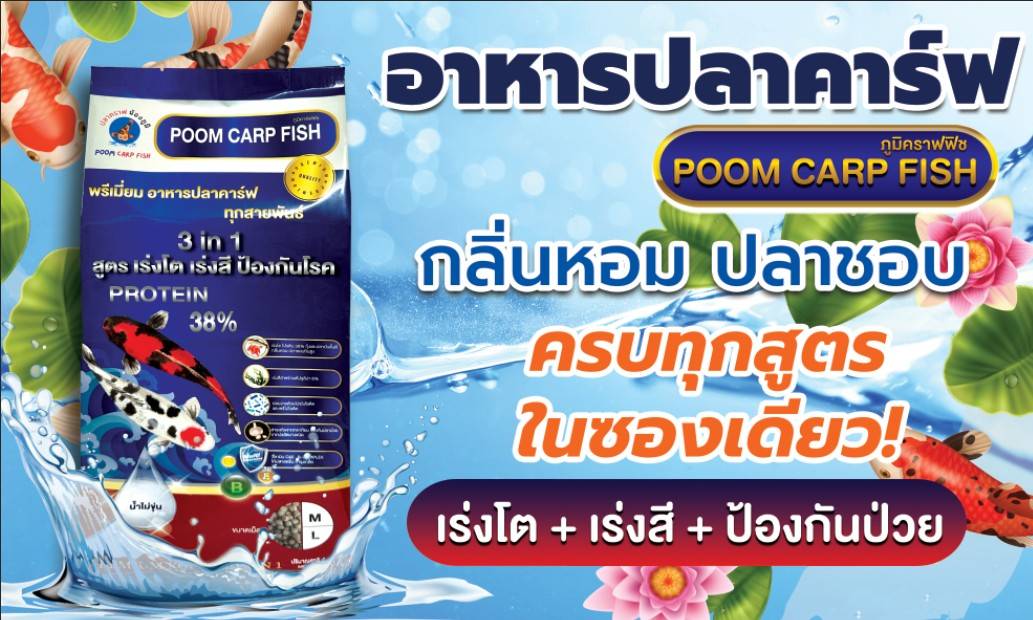 ปลาคราฟน้องภูมิช้อป จำหน่ายอาหารปลาคาร์ฟ และ ผลิตภัณฑ์ดูแลปลาและระบบน้ำ