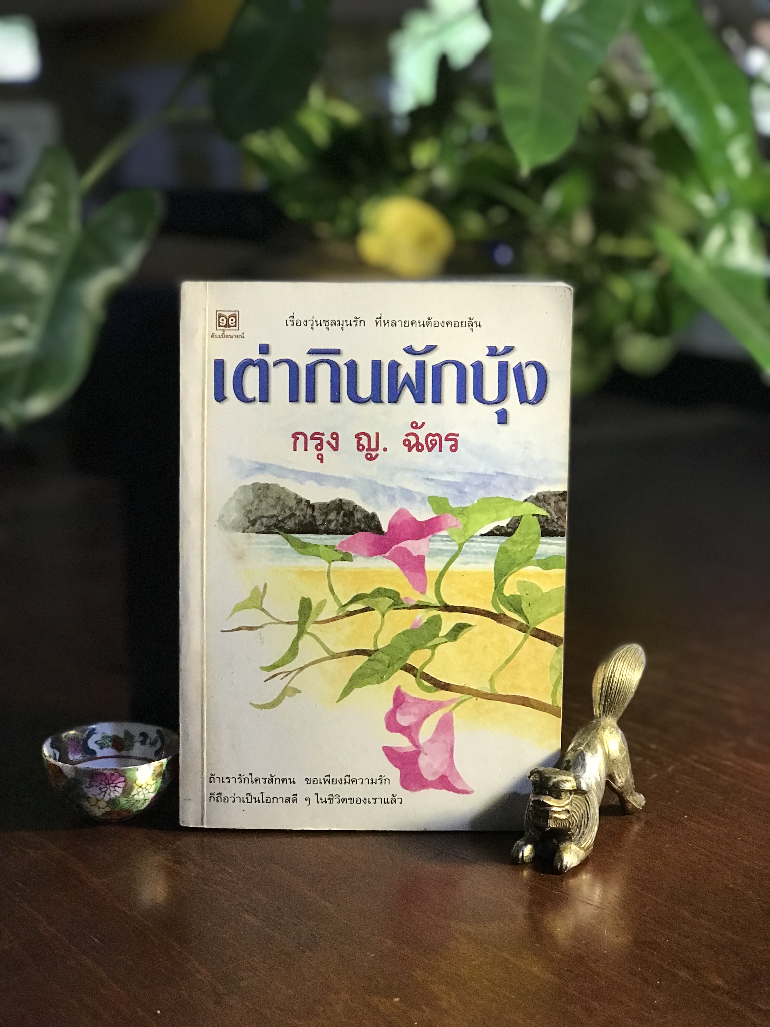 เต่ากินผักบุ้ง ผู้เขียน: กรุง ญ.ฉัตร สำนักพิมพ์: ดับเบิลนายน์ ➡️H5