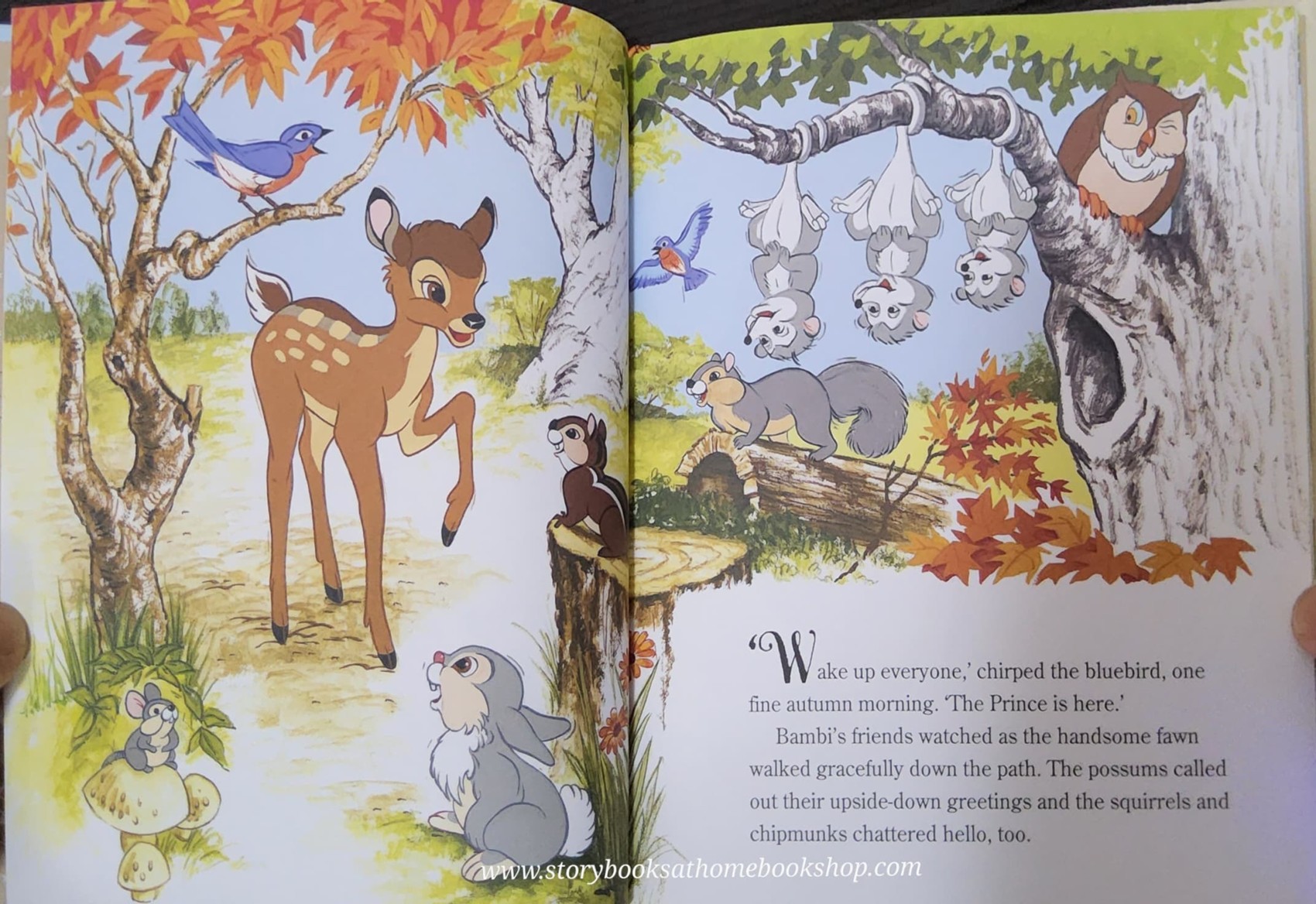 หนังสือนิทานปกแข็ง** 🍅🍓TREASURE COVE STORY:WALT DISNEY'S BAMBI FRIEND OF THE FOREST