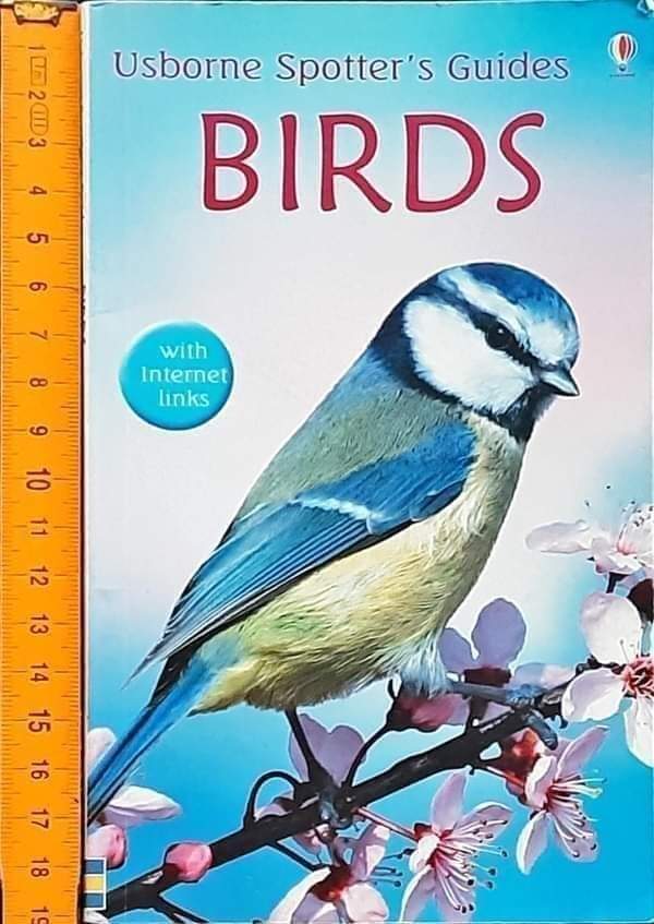 Knowledge Book 🍅🍅Usborne Spotter's Guide BIRDS