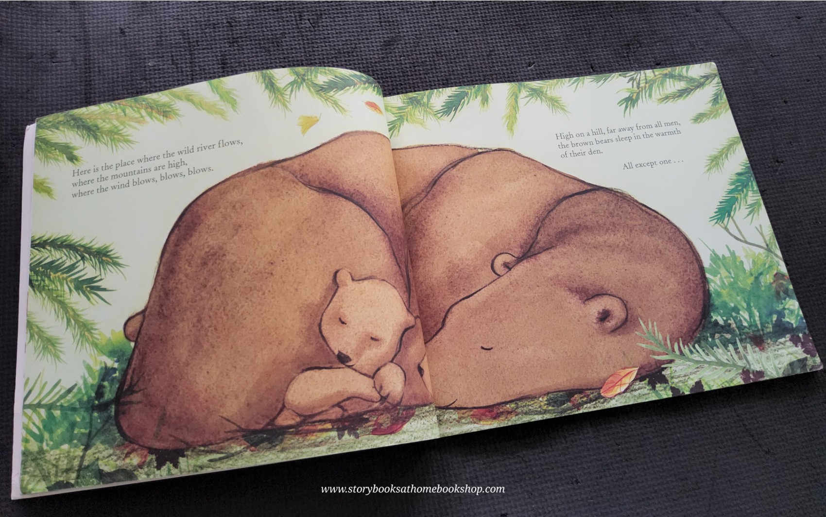 หนังสือนิทานปกอ่อน ** 🍅🍓 TWO LITTLE BEARS