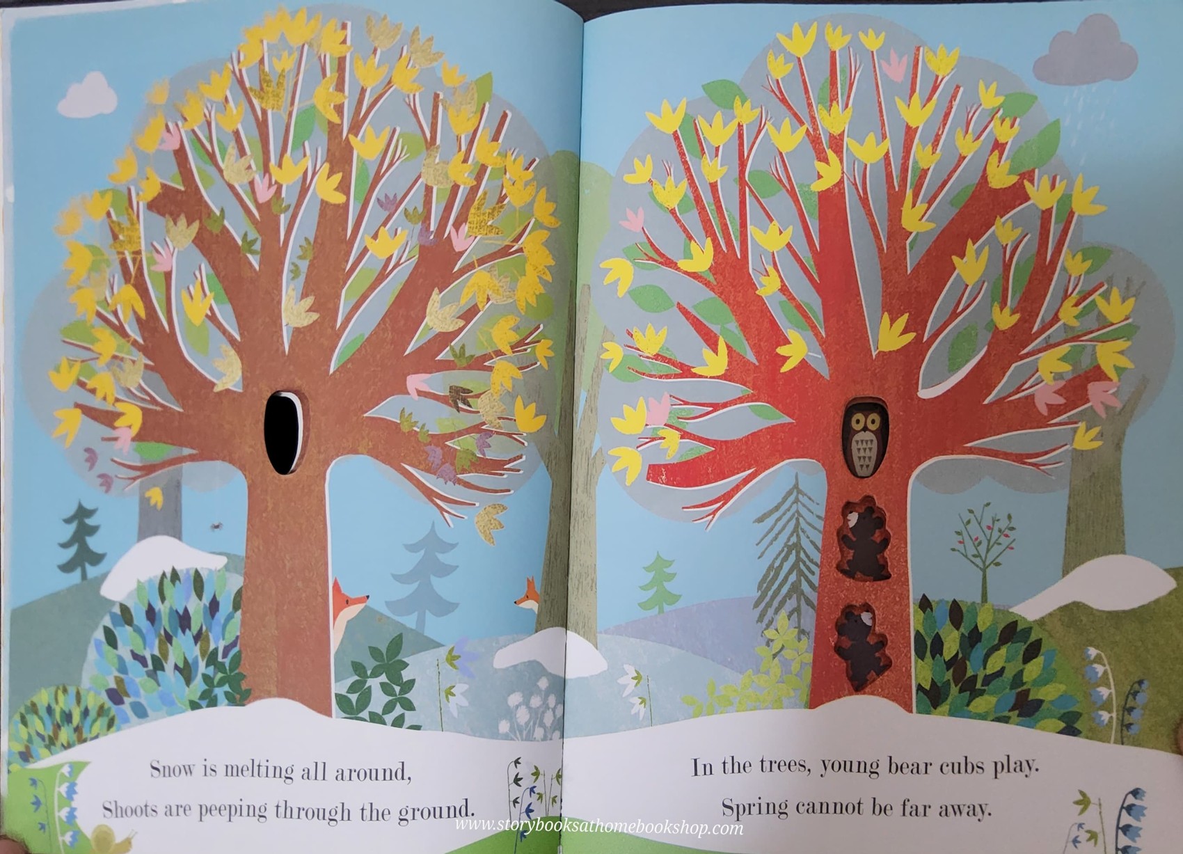 หนังสือนิทานปกอ่อน** 🍓🍓SEASONS COME,SEASONS GO TREE