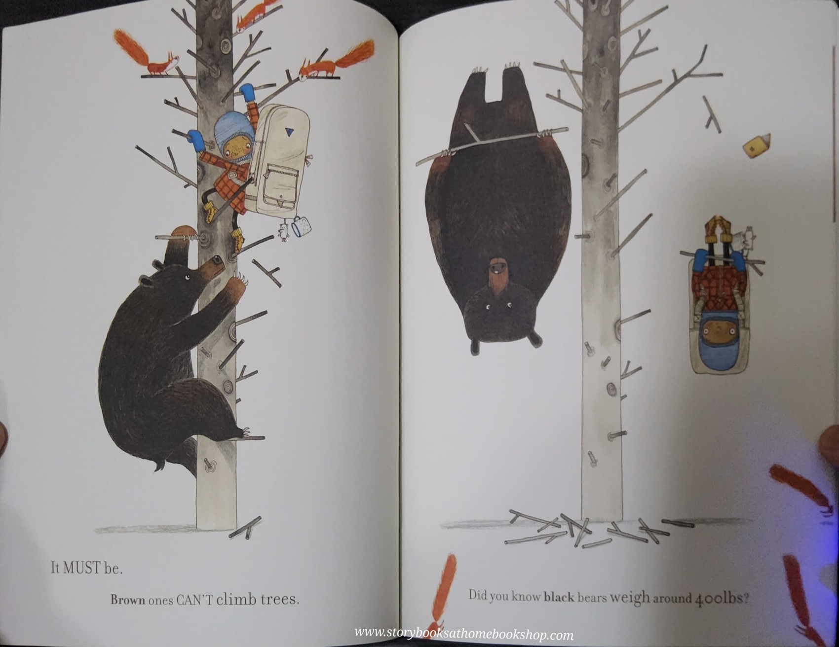 หนังสือนิทานปกอ่อน ** 🍅🍓A BEGINNER'S GUIDE TO BEAR SPOTTING