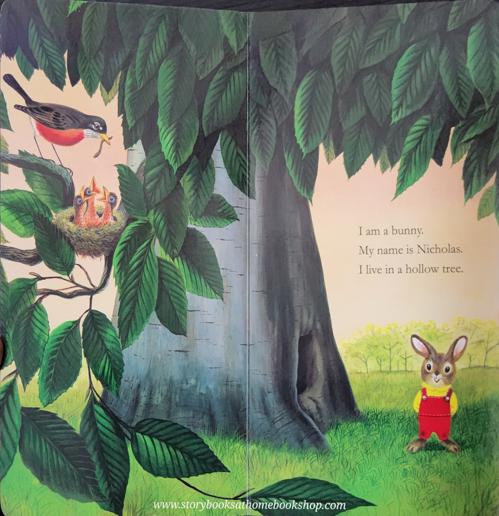 BOARD BOOK** ð
ð
RICHARD SCARRY'S I AM A BUNNY