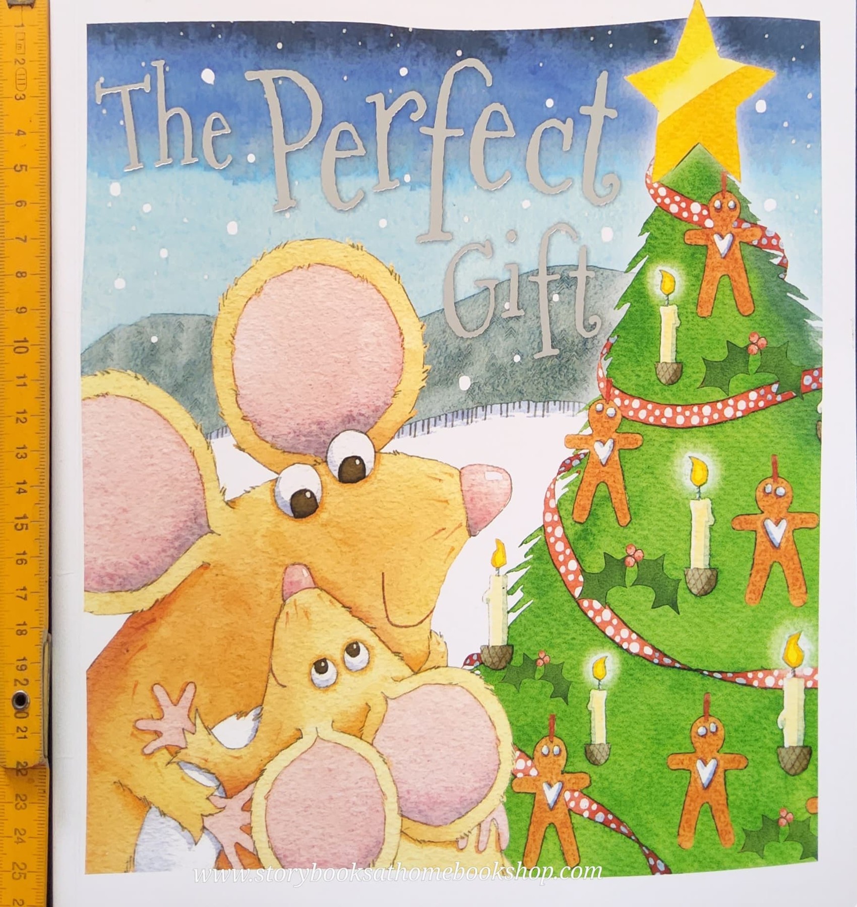 หนังสือนิทานปกอ่อน ** 🍓🍓 THE PERFECT GIFT