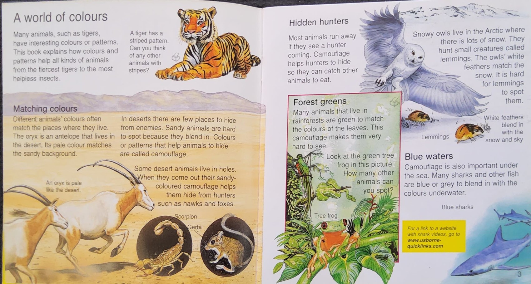 KNOWLEDGE BOOK** ♥️♥️USBORNE POCKET SCIENCE WHY DO TIGERS HAVE STRIPES?