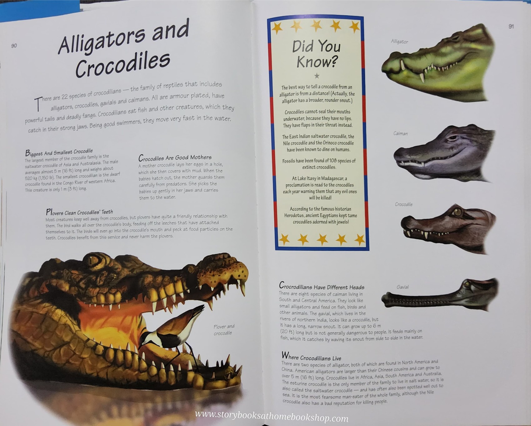 KNOWLEDGE JUMBO BOOK** ♥️♥️DID YOU KNOW?♥️♥️