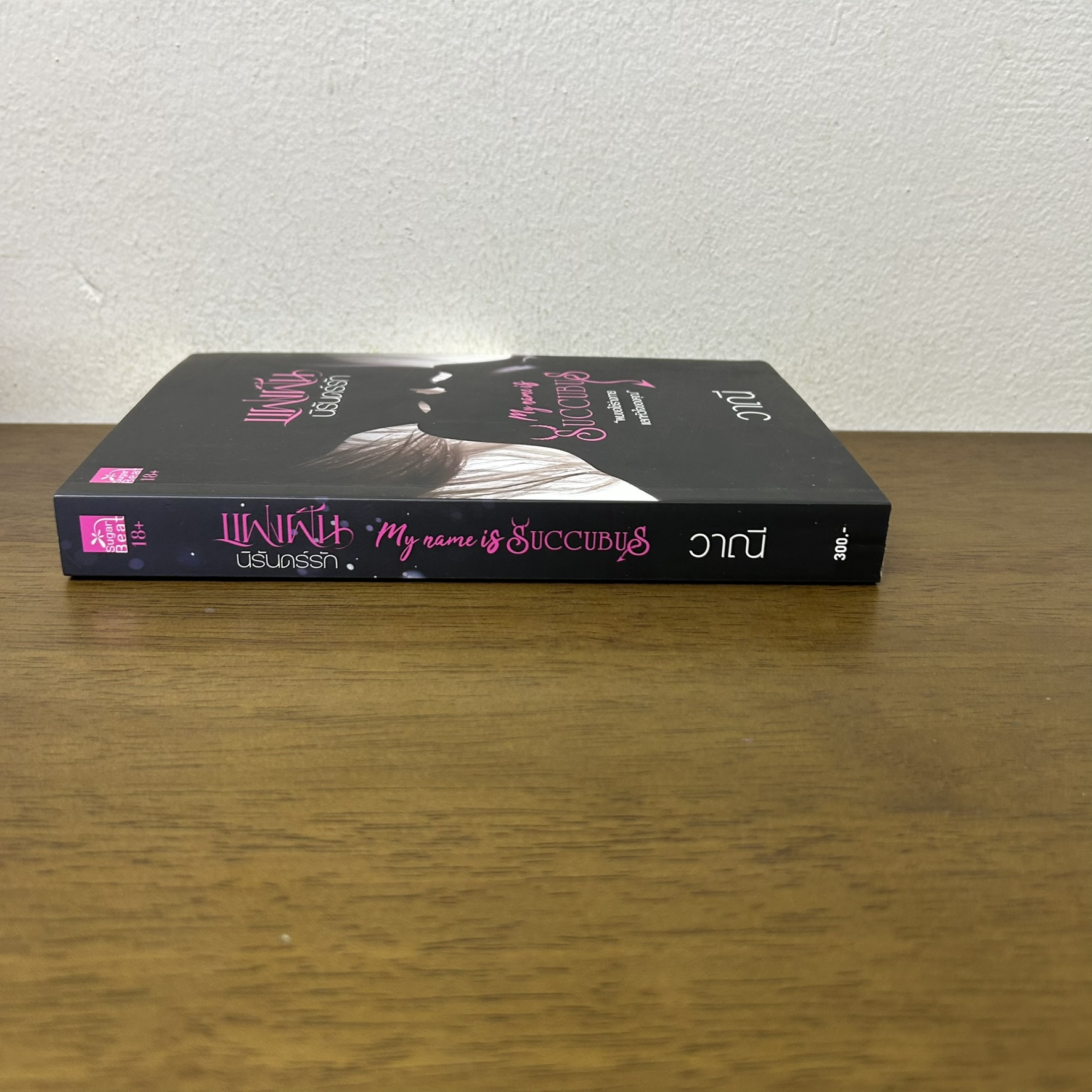 แฝงฝันนิรันดร์รัก My Name is Succubus ... วาณี (มือสอง) นิยาย โรมานซ์ สถาพร ชูการ์บีท