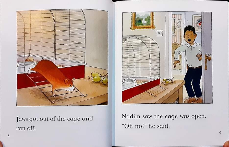 หนังสือนิทานปกอ่อน** 🍓🍓Biff Chip&Kipper:First Stories Level4:Missing