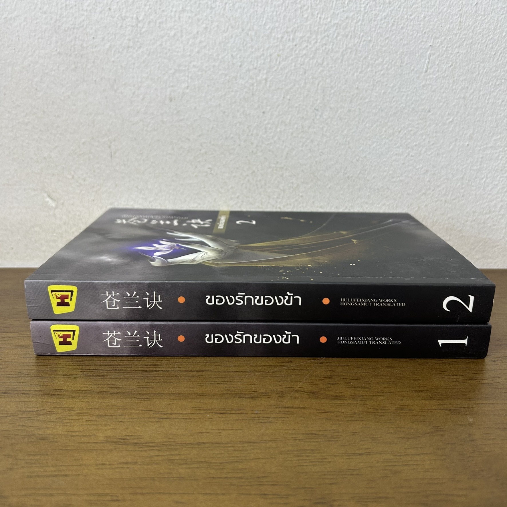 ของรักของข้า เล่ม 1-2 จบ ... จิ่วลู่เฟยเซียง Jiu Lu Fei Xiang เขียน (มือสอง) นิยาย แปลจีน ห้องสมุด