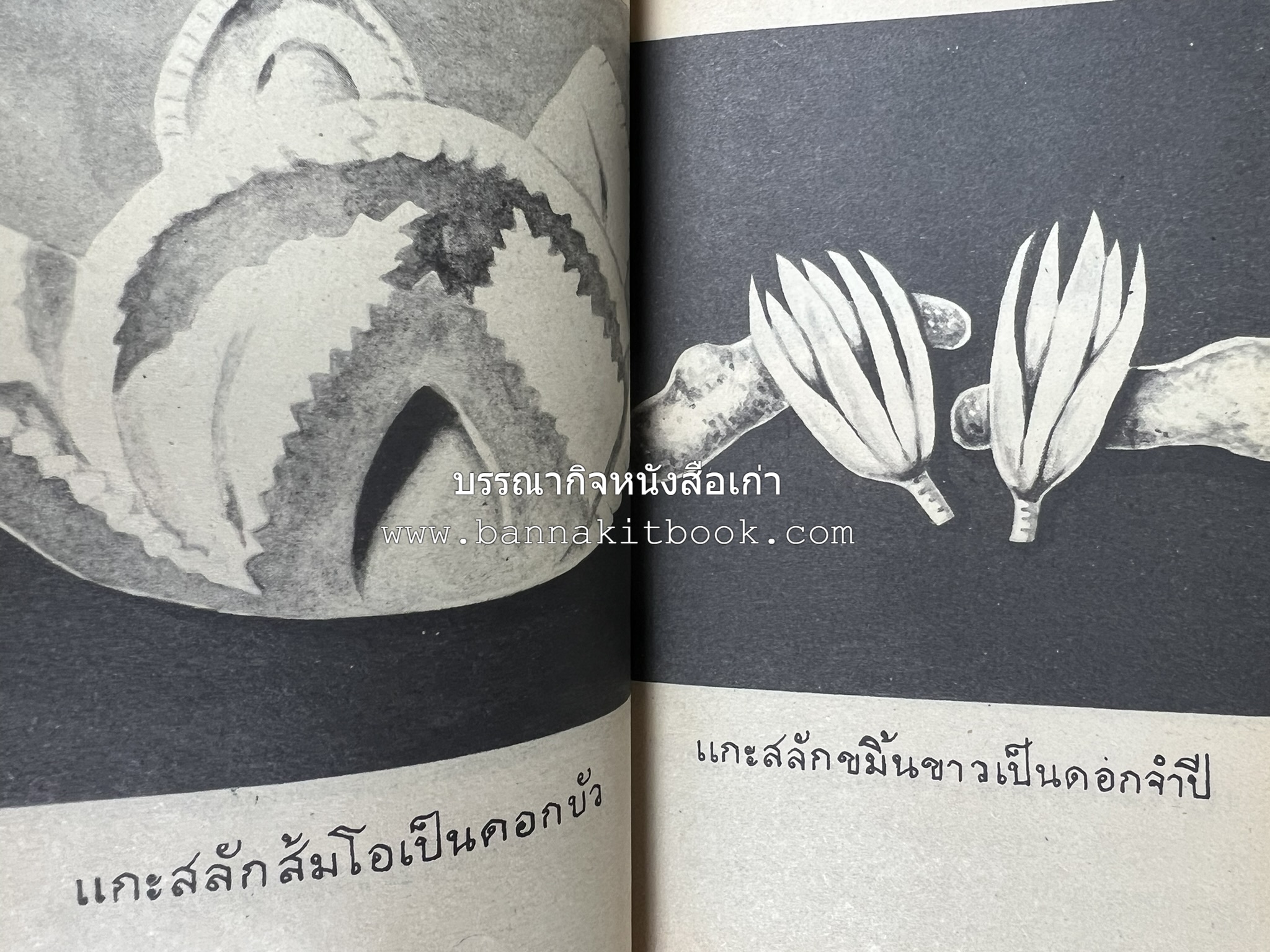 ตำราการแกะสลักผลไม้และผักสด โดย : "พรเพ็ญ".