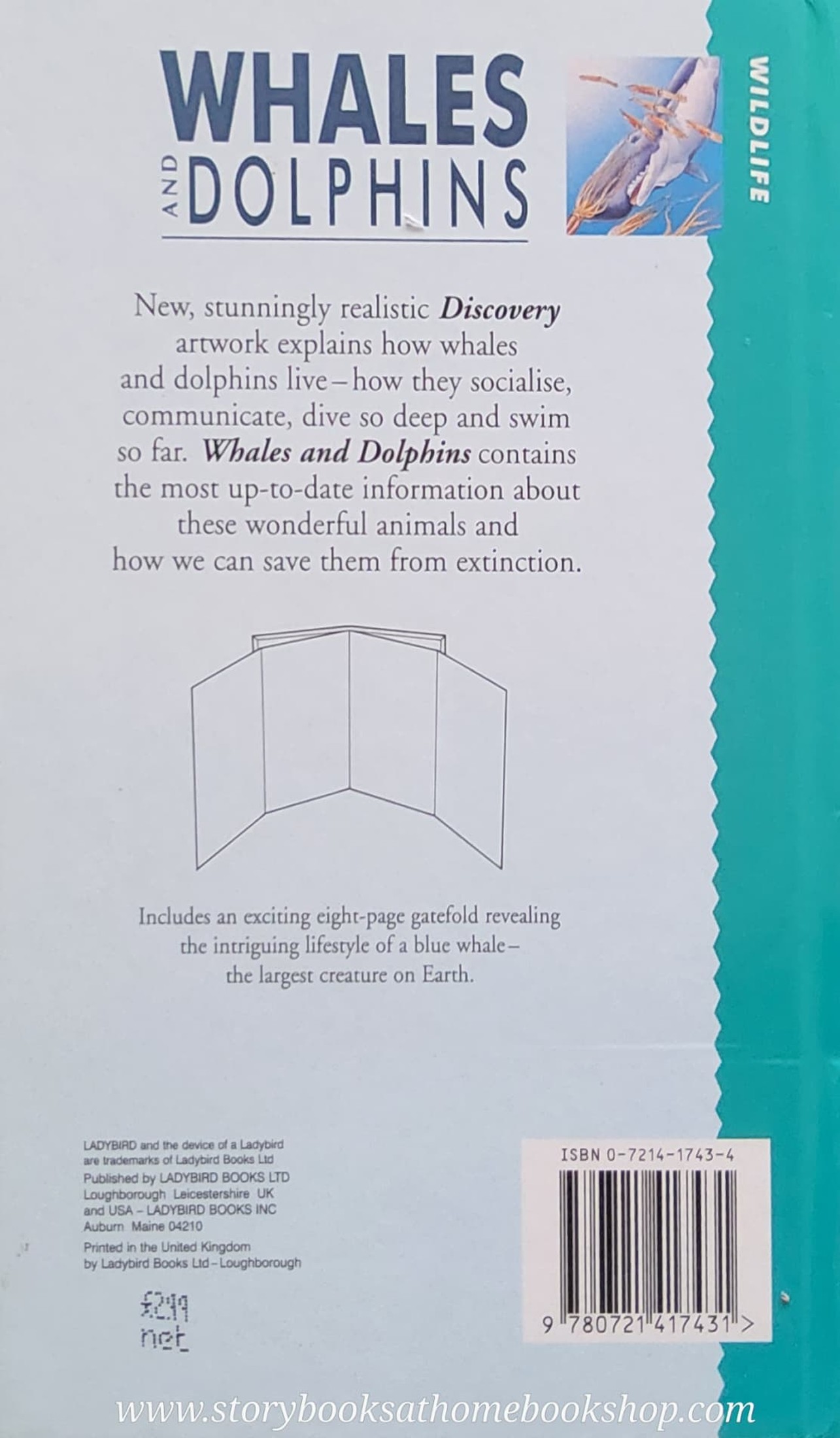 KNOWLEDGE BOOK** ♥️♥️WHALES AND DOPHINS (WITH FOLDOUT BLUE WHALE)