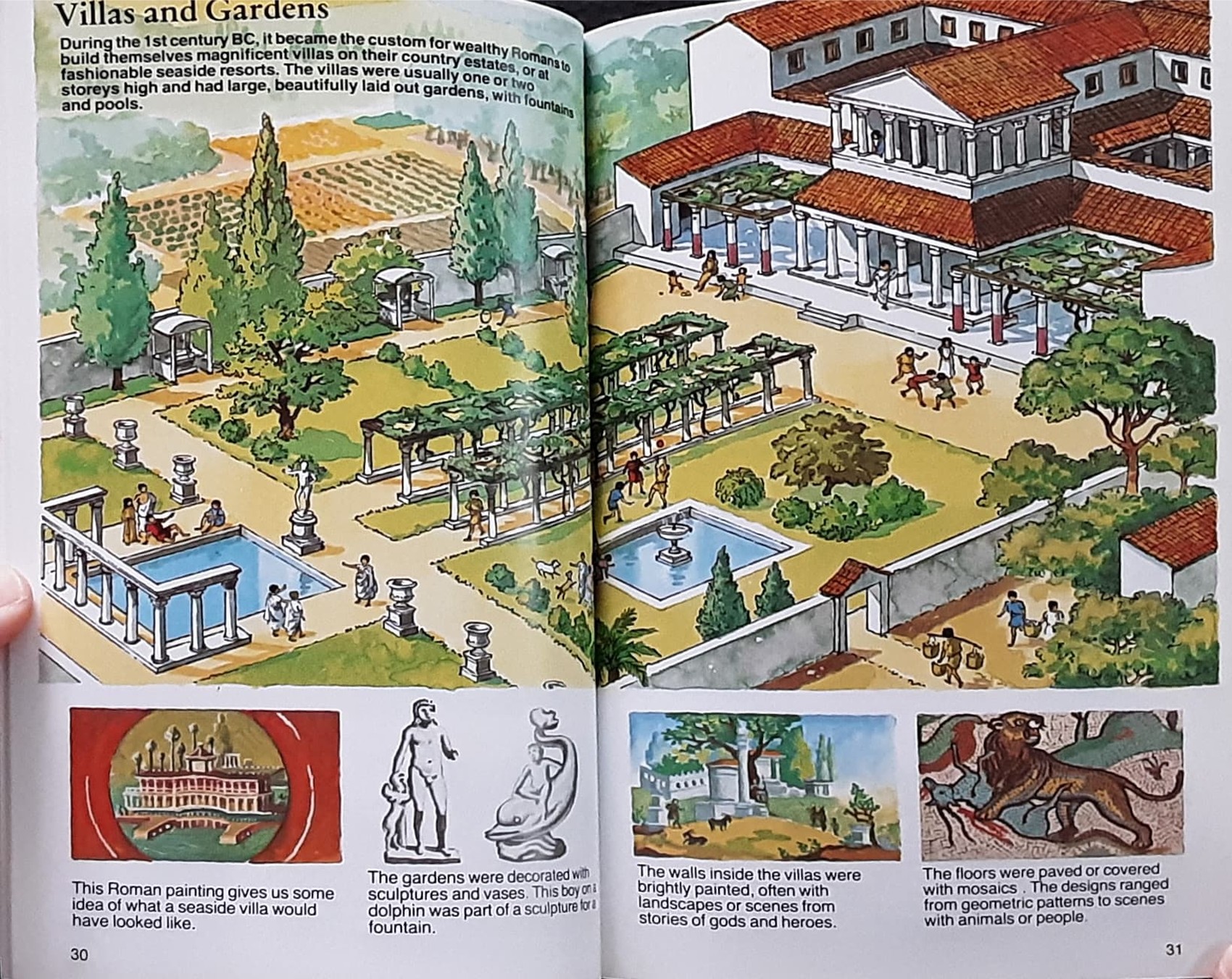 Knowledge Book** ðð USBORNE POCKET GUIDE ANCIENT ROME