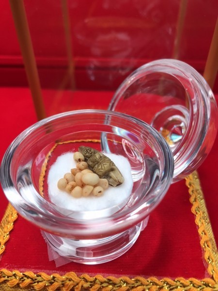 พระทันตธาตุหลวงปู่ครูบาชัยยะวงศา แกะเป็นรูปพระพุทธรูป พร้อมกับพระธาตุข้าวบิณฑ์