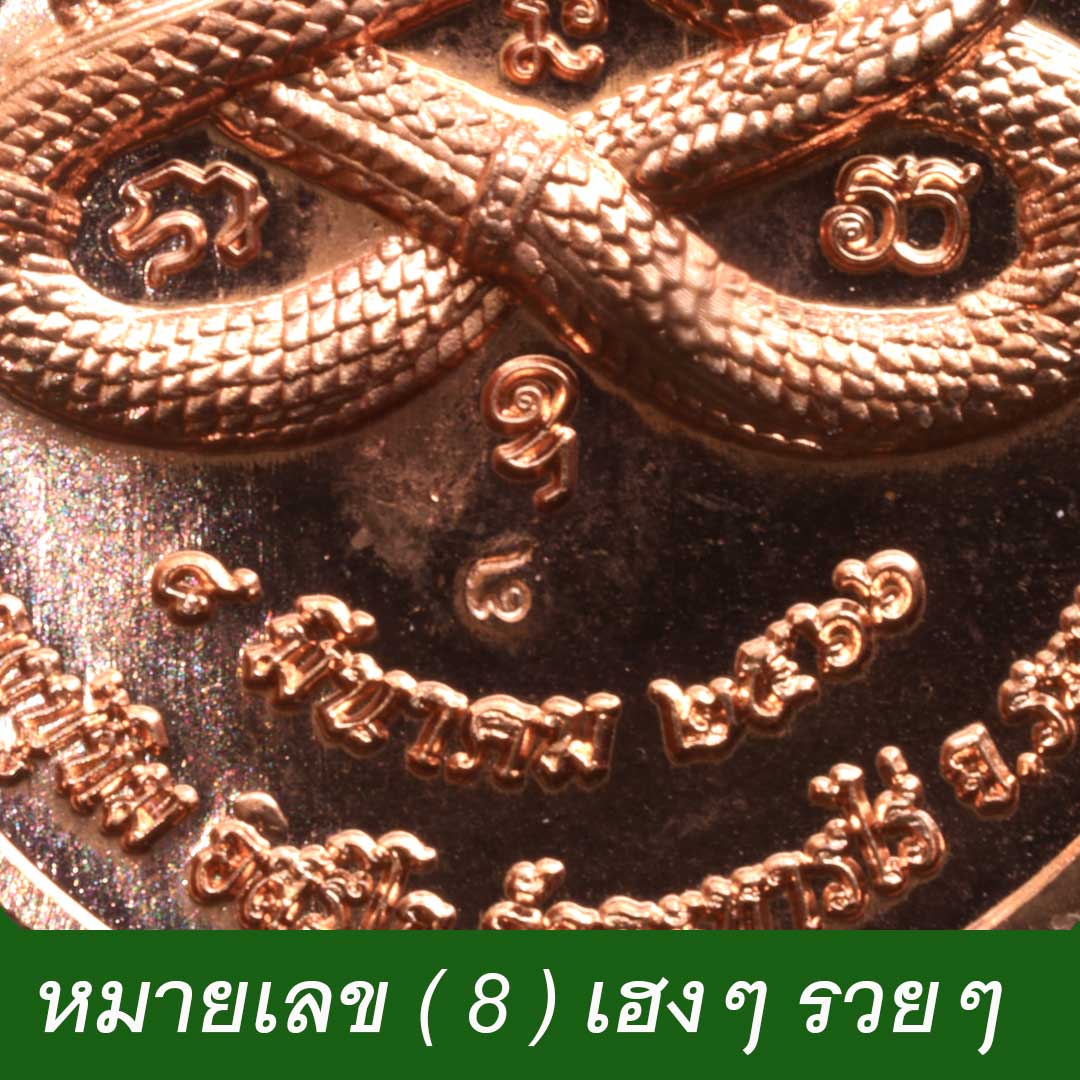 เหรียญเจริญพร หลวงปู่ทิม อิสริโก วัดระหารไร่ ปี66 เนื้อทองแดง เลข 8