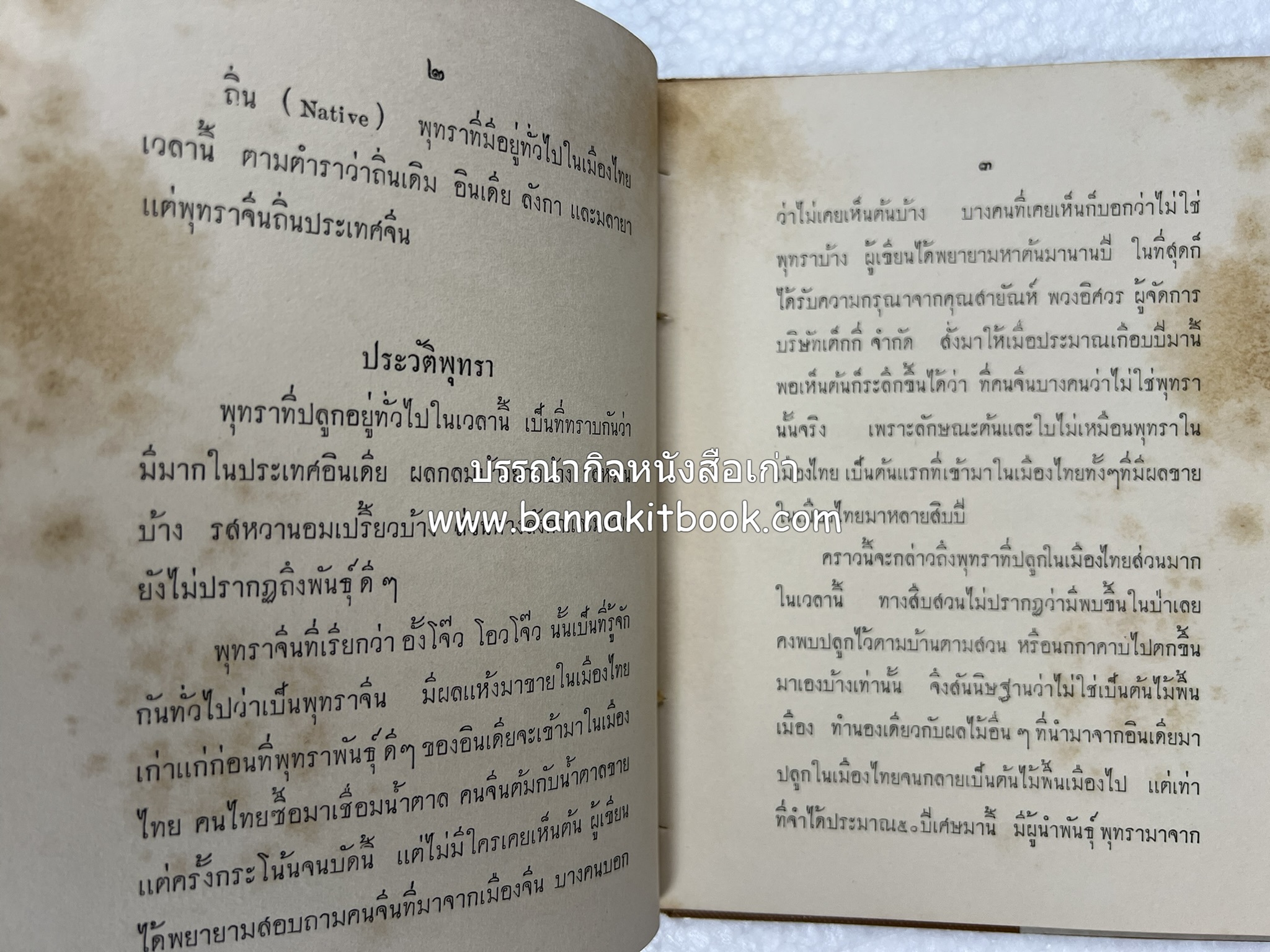 การเพาะปลูกพุทรา ตำราชุดเกษตรกรรม ของ หลวงบุเรศบำรุงการ.