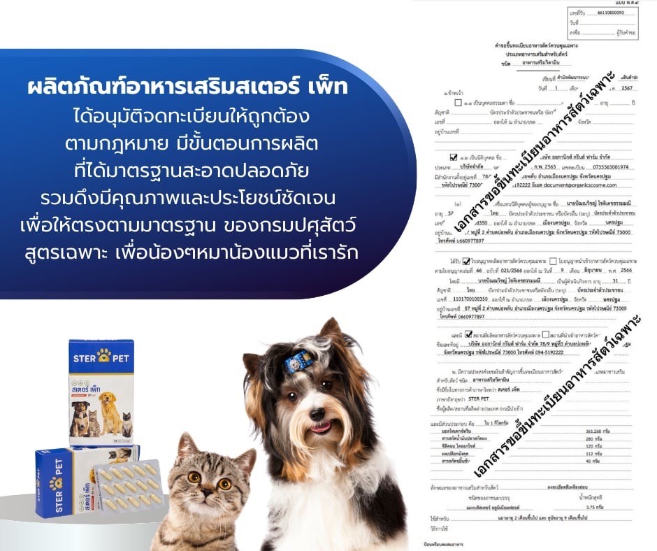 เซตทดลอง สเตอร์ เพ็ท Ster Pet เนื้องอกหมาแมว ก้อนเนื้อหมาแมว มะเร็งสุนัขแมว ลดอักเสบ ลดขนาดก้อนเนื้อ เบื่ออาหาร น้ำหนักลด ไตวายหมาแมว แผลยุบเร็ว ( 15 แคปซูล)