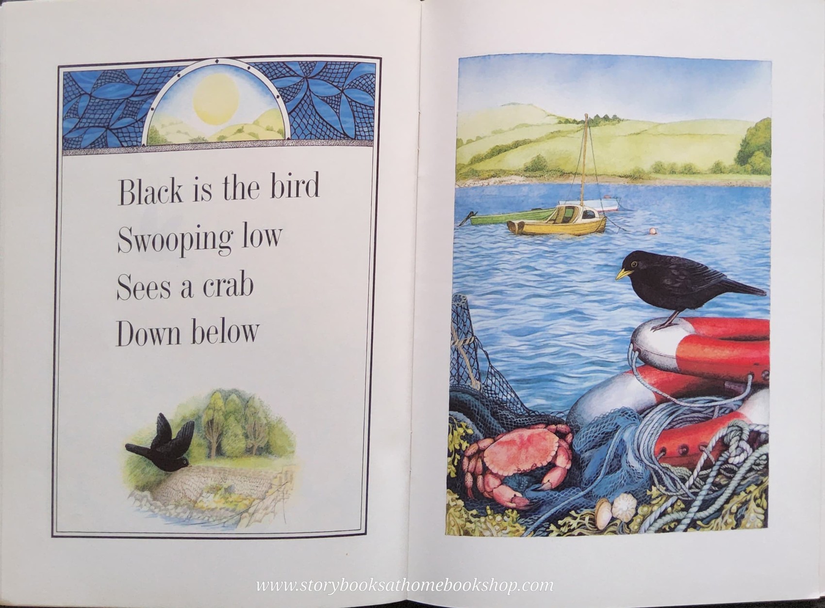 หนังสือนิทานปกอ่อน** ♥️WHITE IS THE MOON BY VALERIE GREELEY