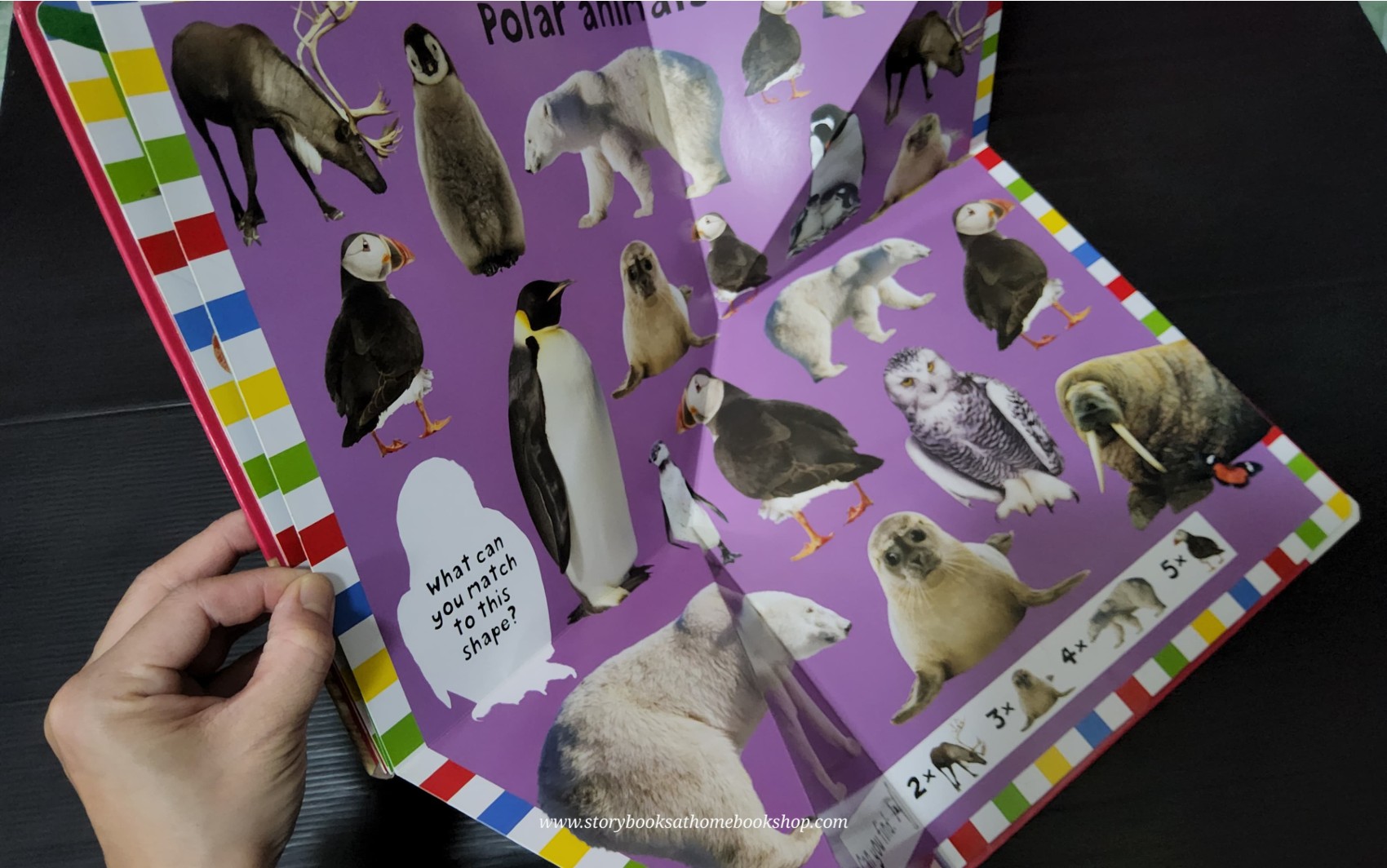 FOLD OUT BOOK ** 🍅🍓A FOLD OUT BOOK AT THE ZOO