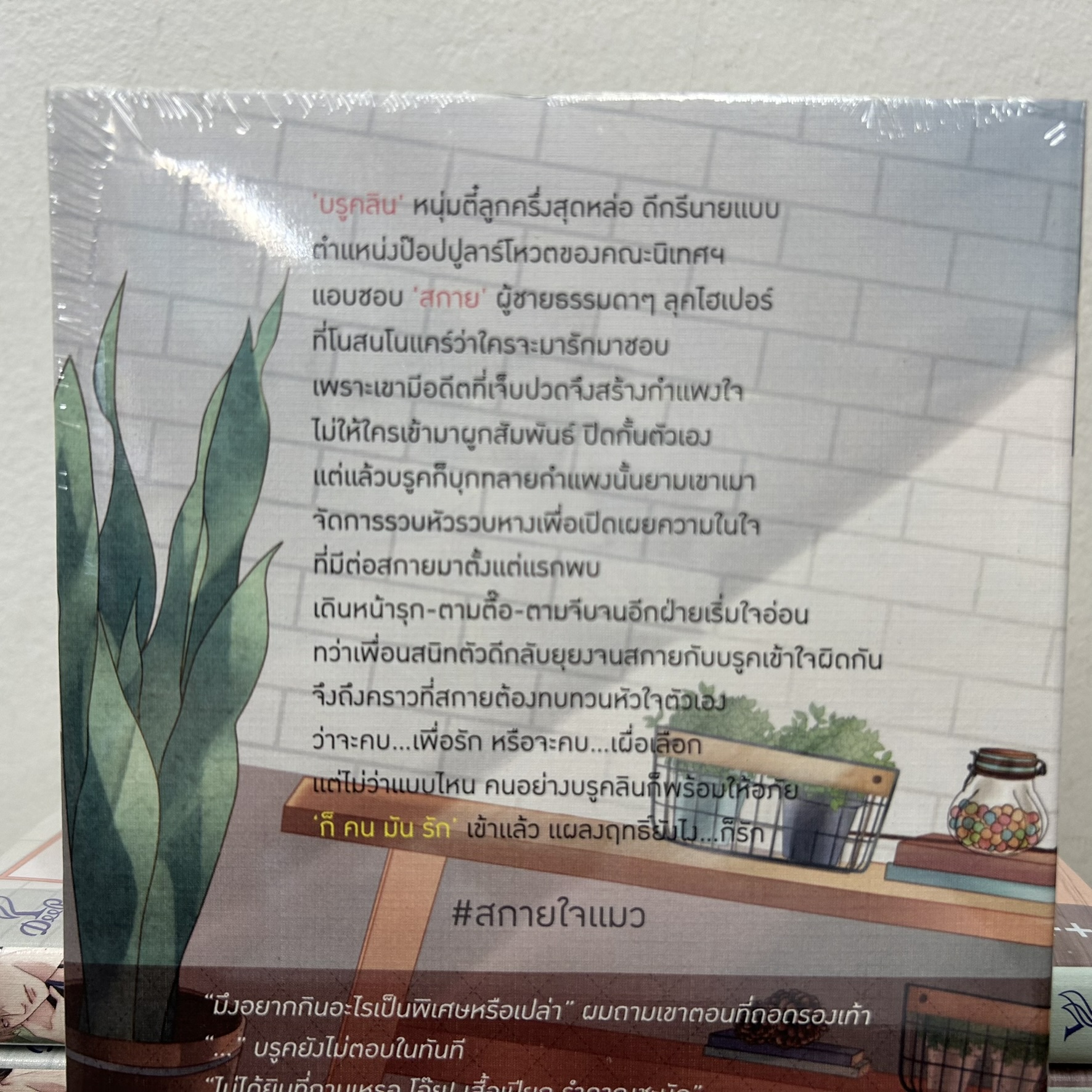 [YAOI] Lovers gonna Love ก็คนมันรัก ... saisioo (มือหนึ่งซีล) นิยายวาย DEEP