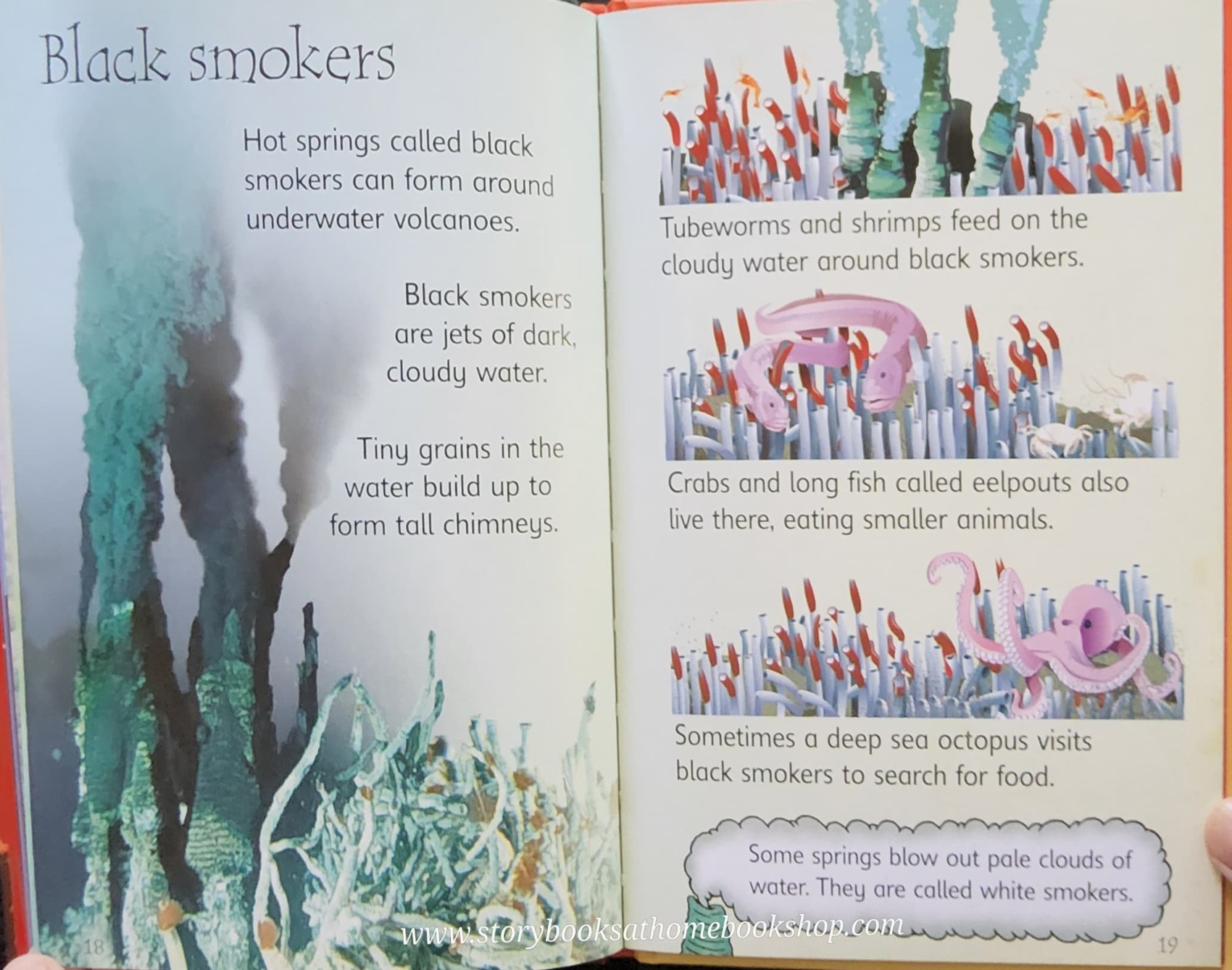 KNOWLEDGE BOOK** ♥️♥️USBORNE VOLCANOES