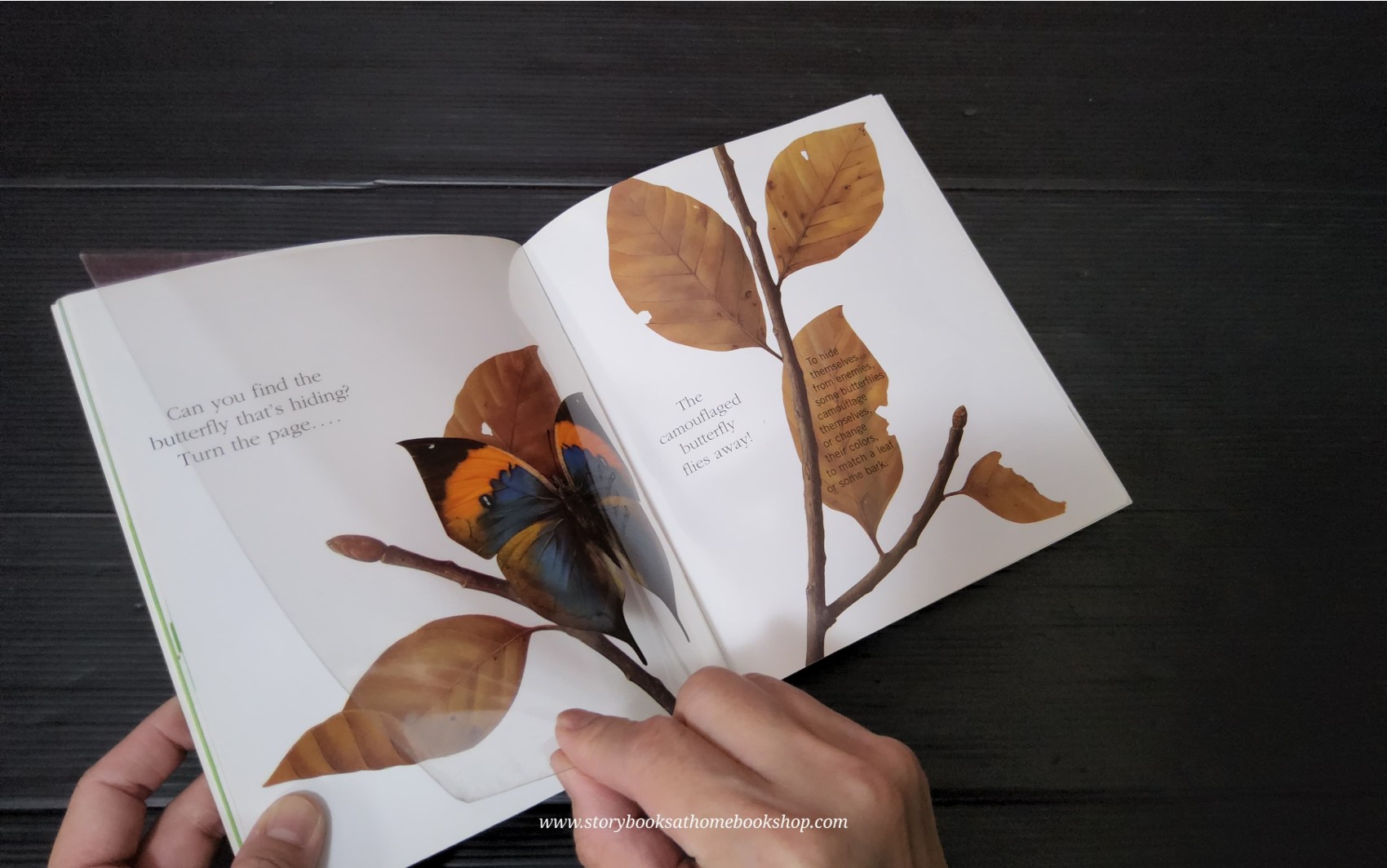 KNOWLEDGE BOOK WITH FEATURES TRANSPARENT PAGES** ð
ðBUTTERFLIES A FIRST DISCOVERY BOOK
