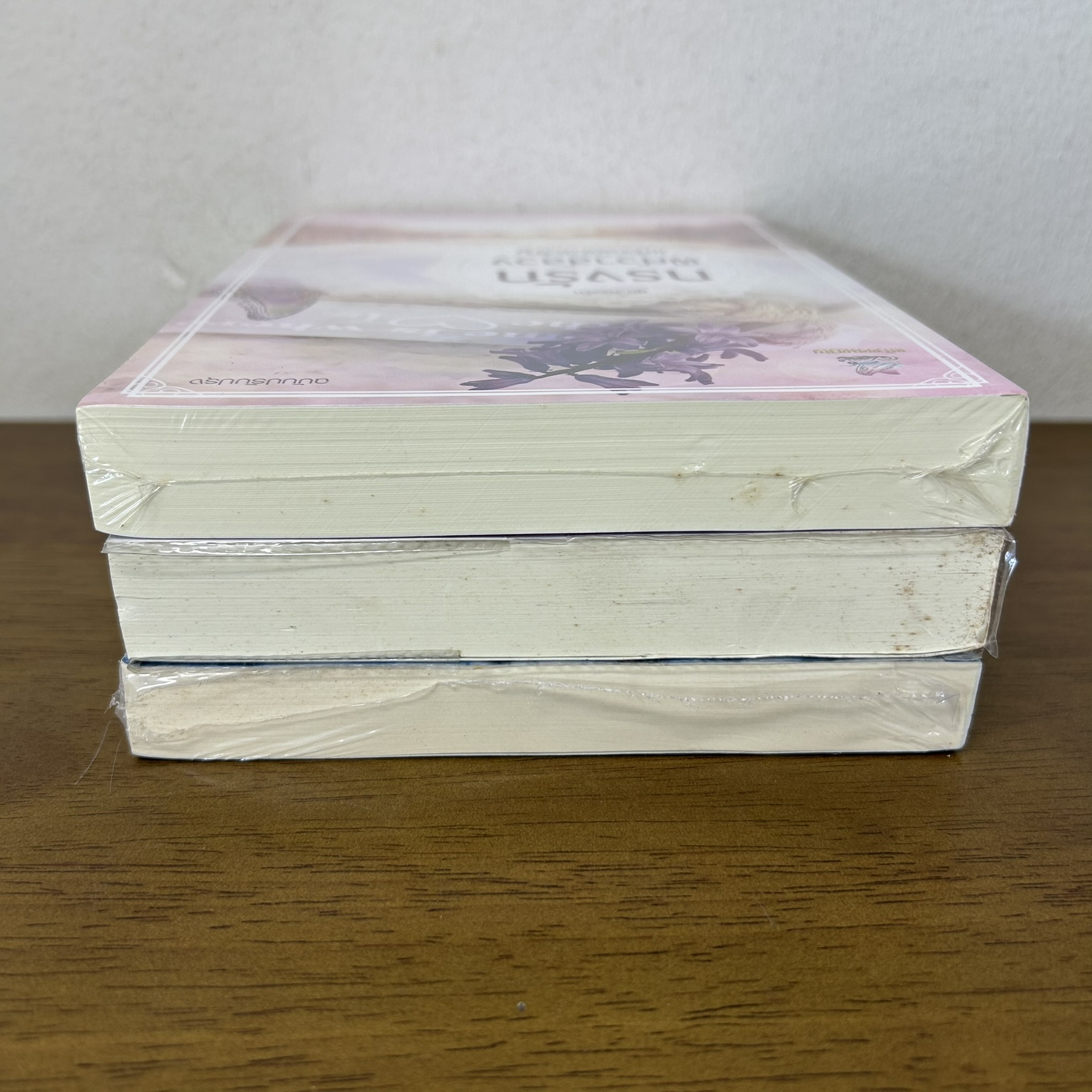 ชุด กรงรัก - กรงรักพิศวาสลวง กรงรักแดนเถื่อน กรงรักซ่อนเสน่หา ... แก้วจอมขวัญ (มือสอง) นิยาย โรมานซ์