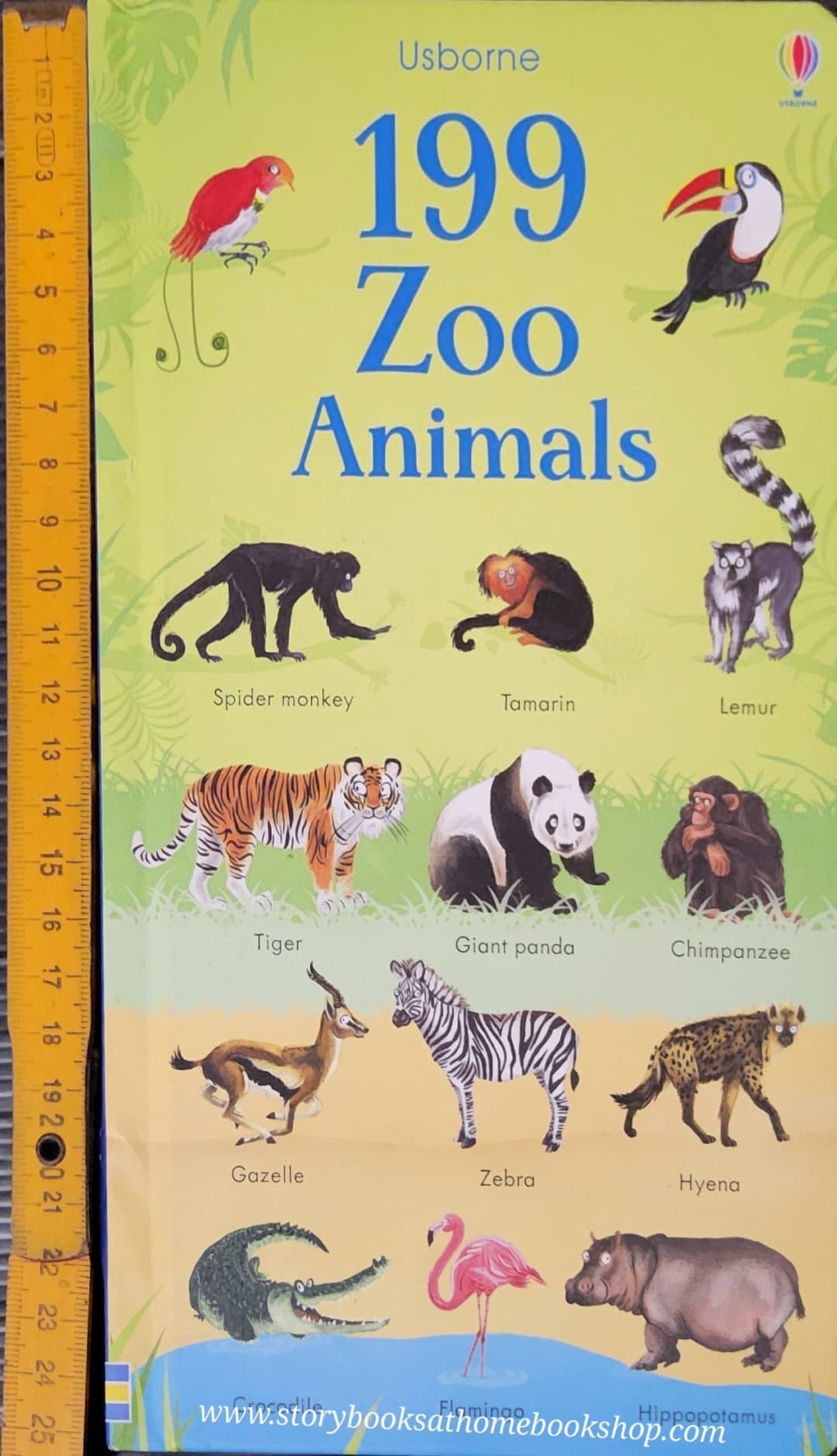 BOARD BOOK** 🍅🍅USBORNE 199 ZOO ANIMALS