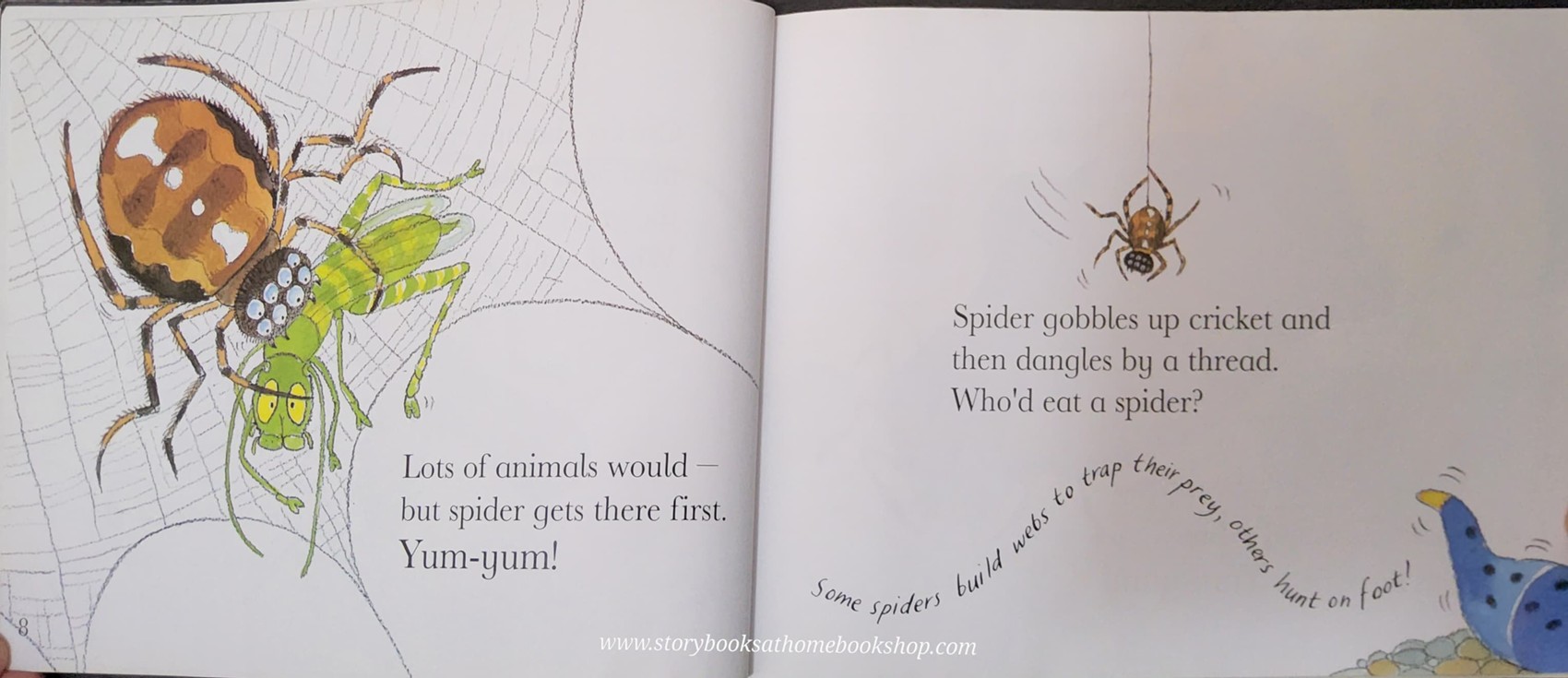 หนังสือนิทานปกอ่อน** 🍅🍅WONDERWISE YUM YUM! A BOOK ABOUT FOOD CHAINS