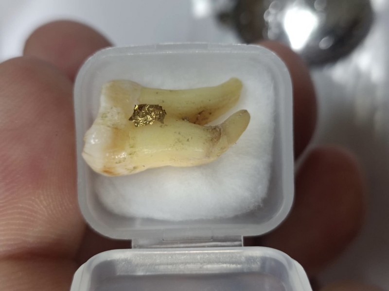 พระทันตธาตุ และล็อกเกตรุ่นแรก ครูบาศรีวัย วัดหนองเงือก อ.ป่าซาง จ.ลำพูน ได้จาก คุณเอ๋ หรือพี่เอ๋ เป็นพนักงานเทศบาล บ้านเรือน อ.ป่าซาง จ.ลำพูน อายุ 47 ปี พี่เอ๋ได้สืบมาจากคุณพ่อ ชื่อพ่อคำตั๋น ปัจจุบันเสียชีวิตแล้ว (บันทึก พ.ศ.2567) เมื่อปี 2563