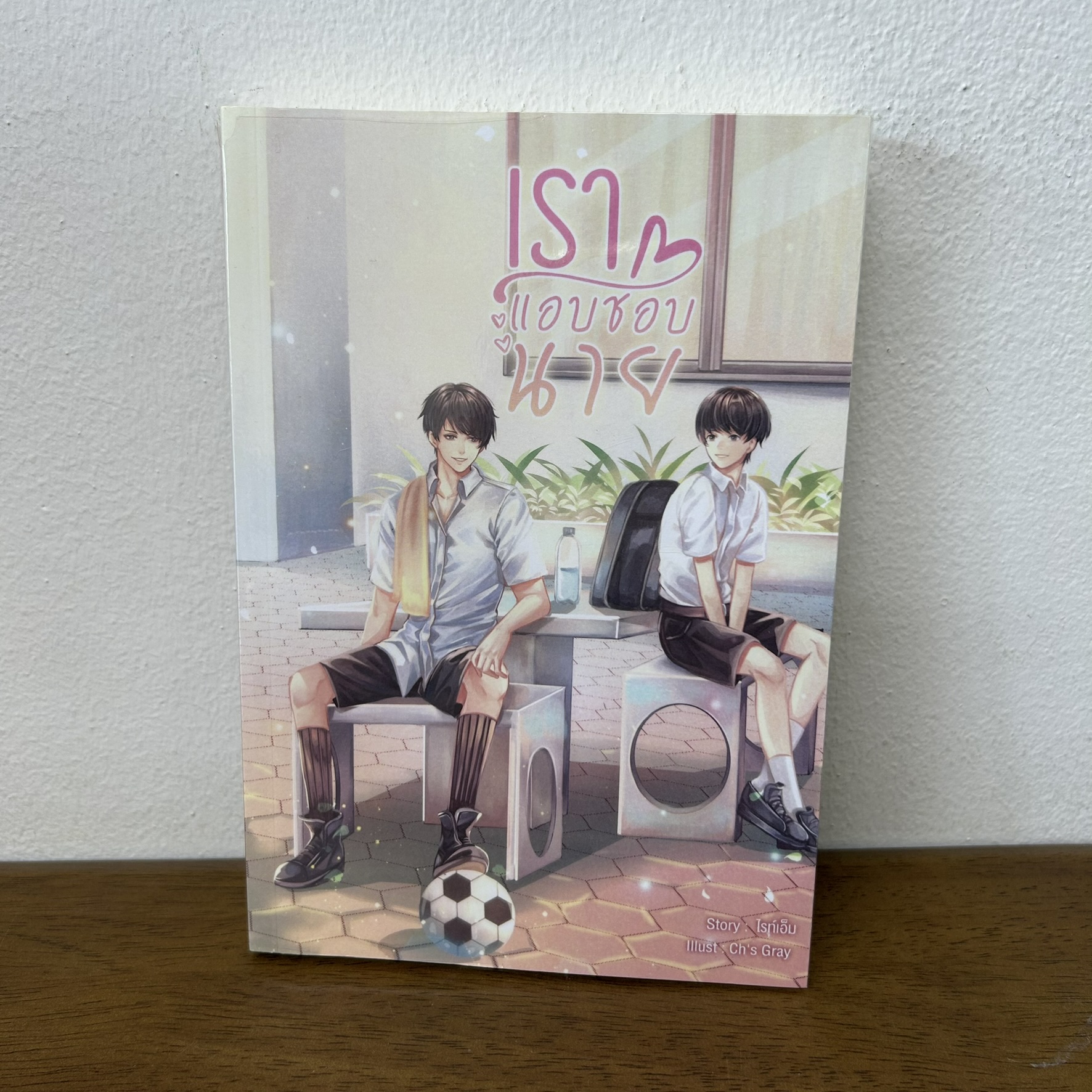 [YAOI] เราแอบชอบนาย ... ไรท์เอ็ม (มือสอง) นิยายวาย