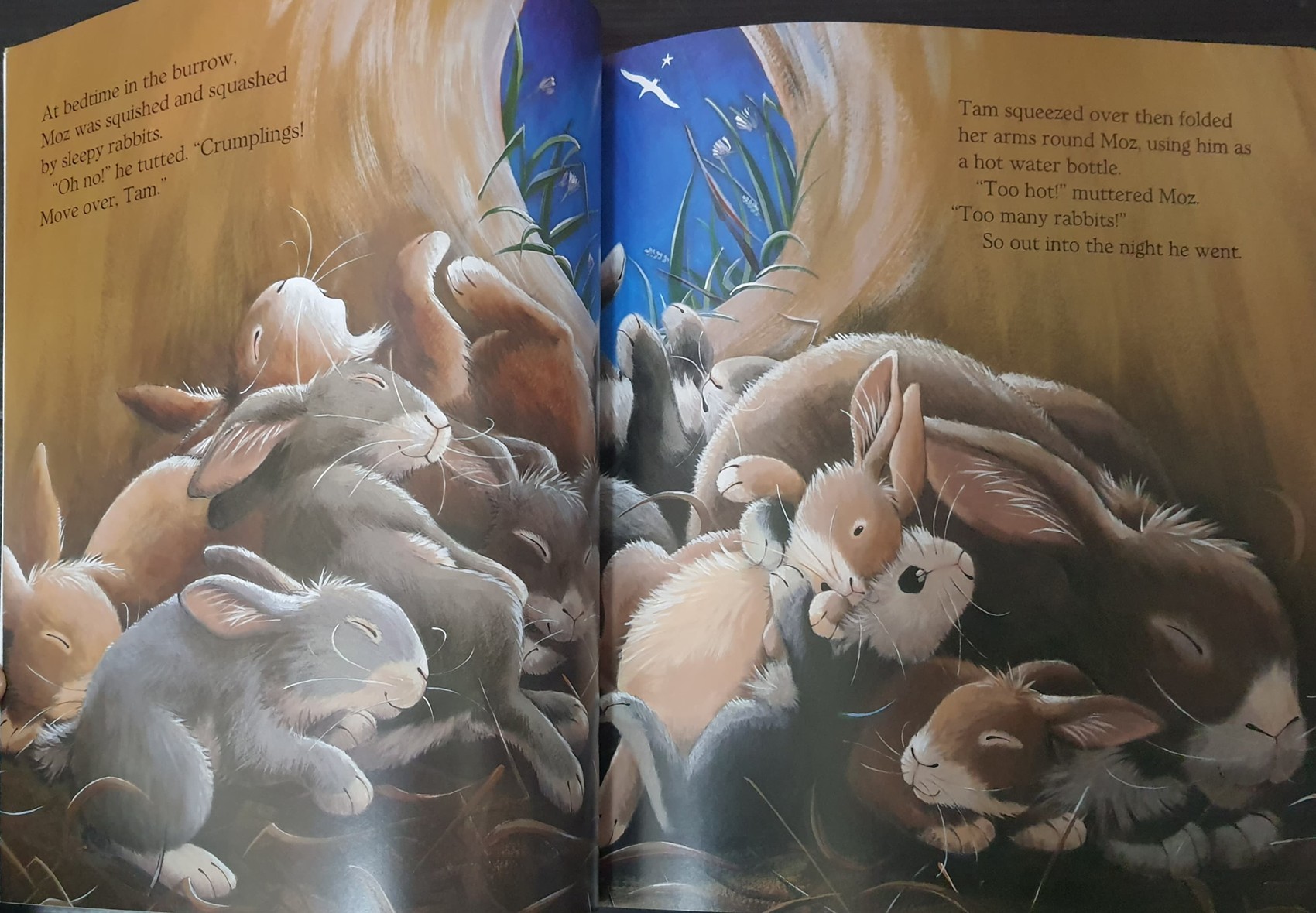 หนังสือนิทานปกอ่อน ** 🍅🍓A LONG WAY FROM HOME