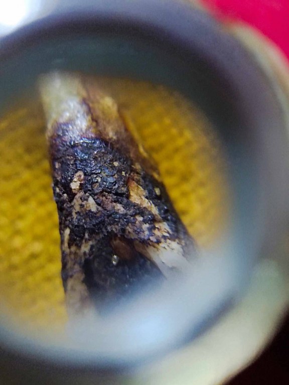 พระทันตธาตุครูบาจ๋ันทิมา วัดบ้านเรือน อ.ป่าซาง จ.ลำพูน พระทันตธาตุองค์นี้ได้มาจาก สล่าบอย อายุ 50 ปี หนานแดง เสียชีวิตแล้วเมื่อปี 2549 หนานแดงได้พระทันตธาตุครูบาจันทิมา นี้เมื่อปี 2520 ปี เป็นหลานหนานแดง หนานแดงเป็นลูกศิษย์ครูบาจันทิมา